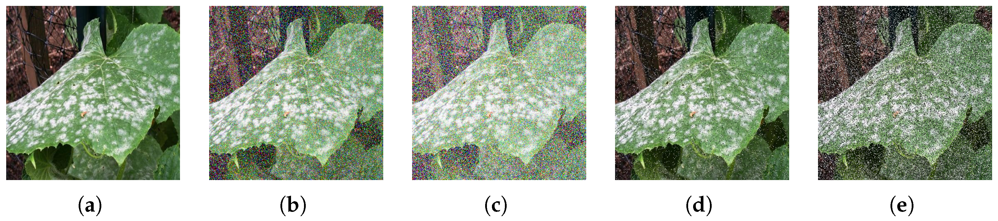 Algorithms 18 00433 g012