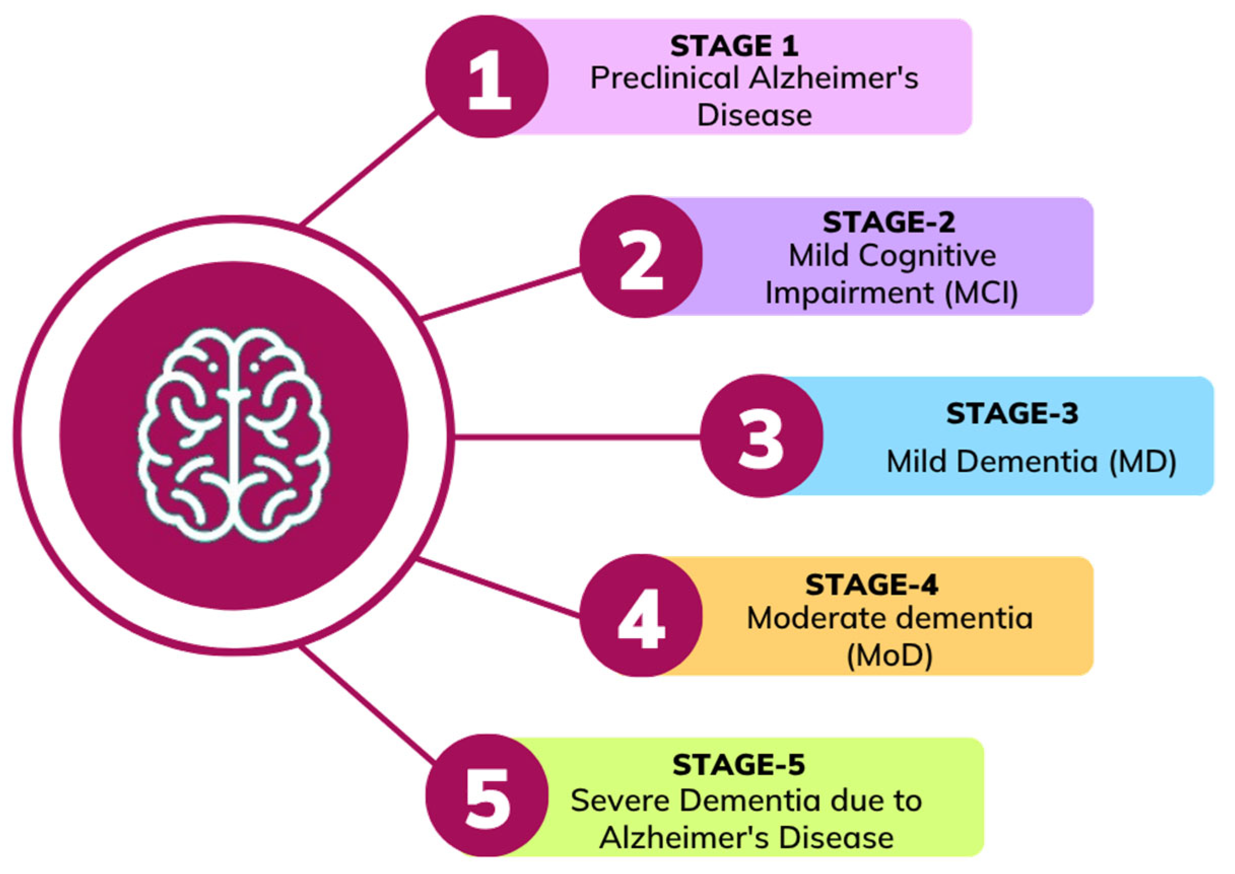 Algorithms 18 00434 g001