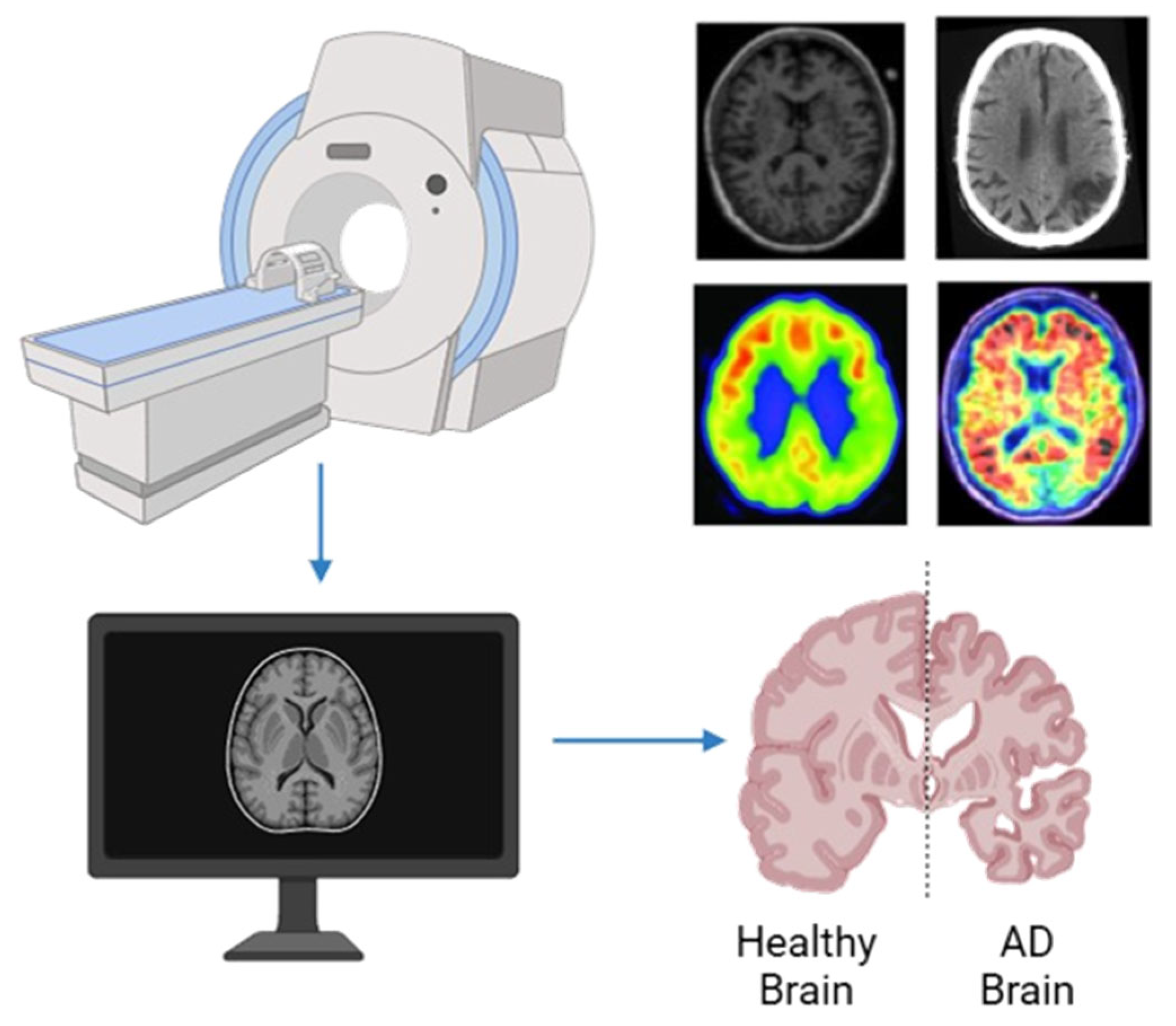 Algorithms 18 00434 g002