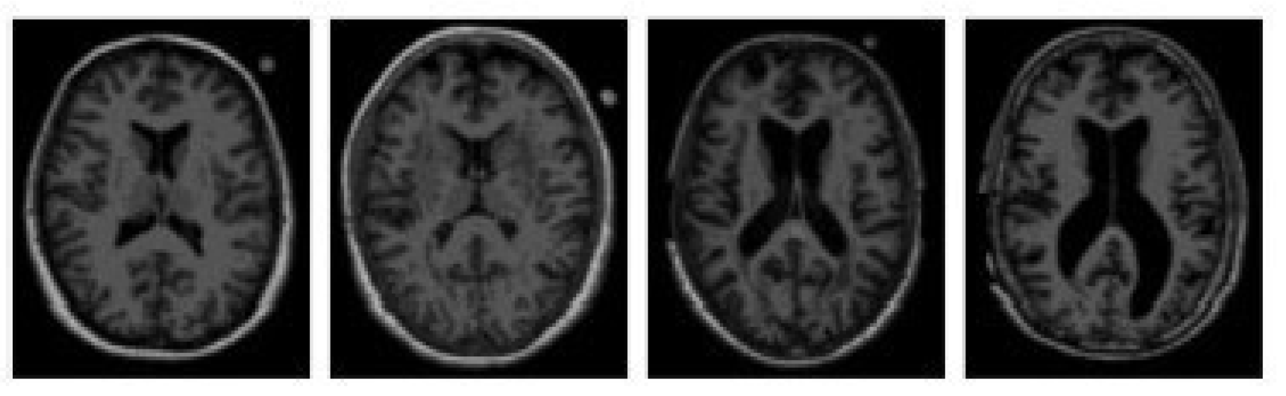 Algorithms 18 00434 g003