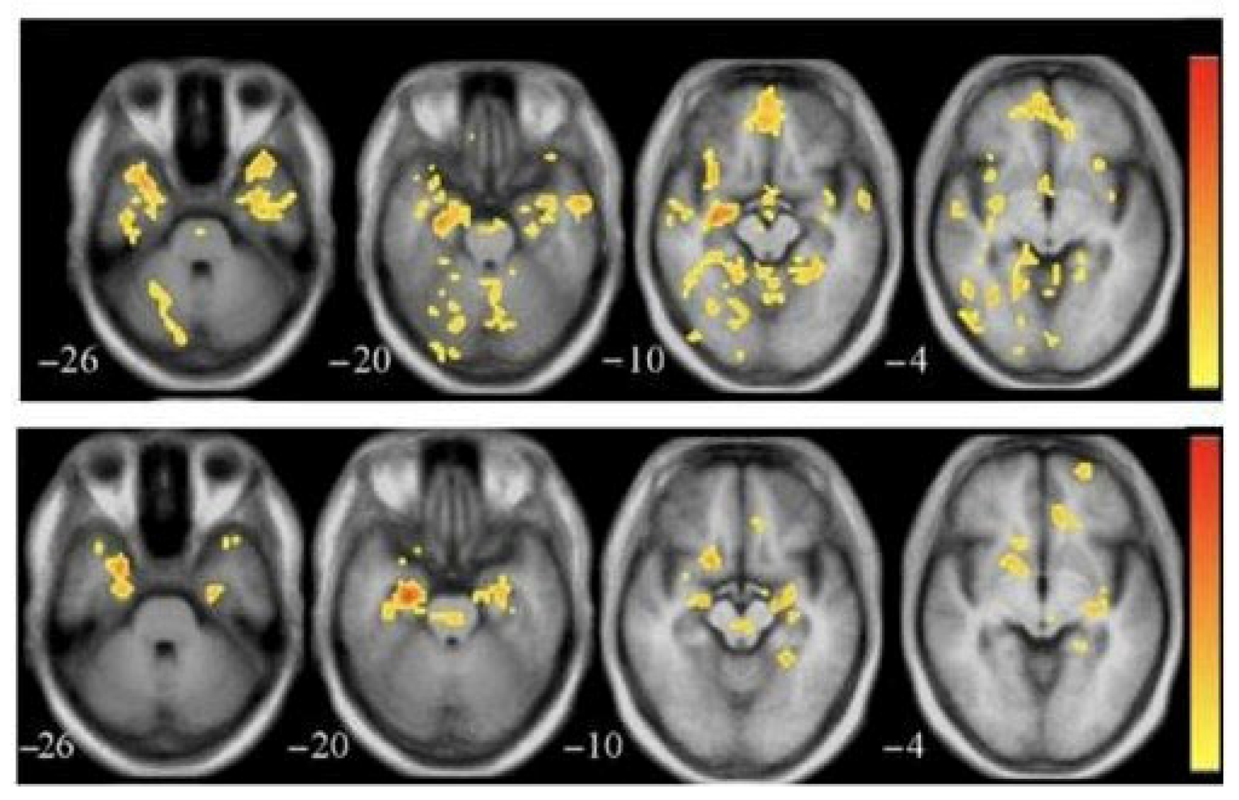 Algorithms 18 00434 g004