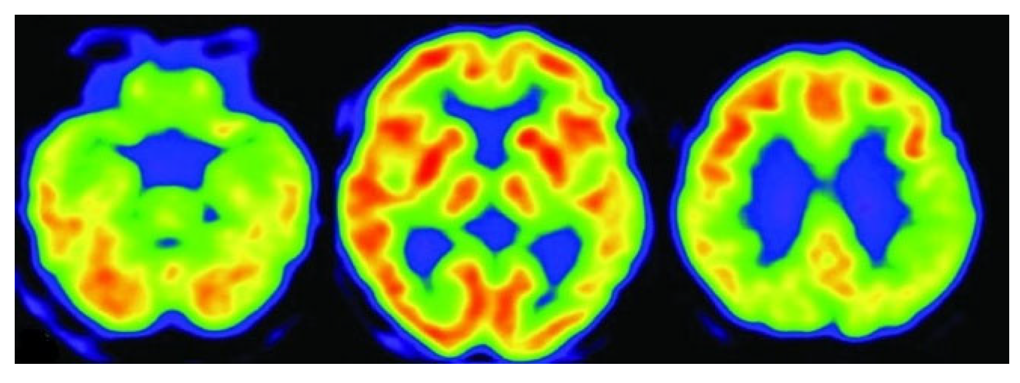 Algorithms 18 00434 g006