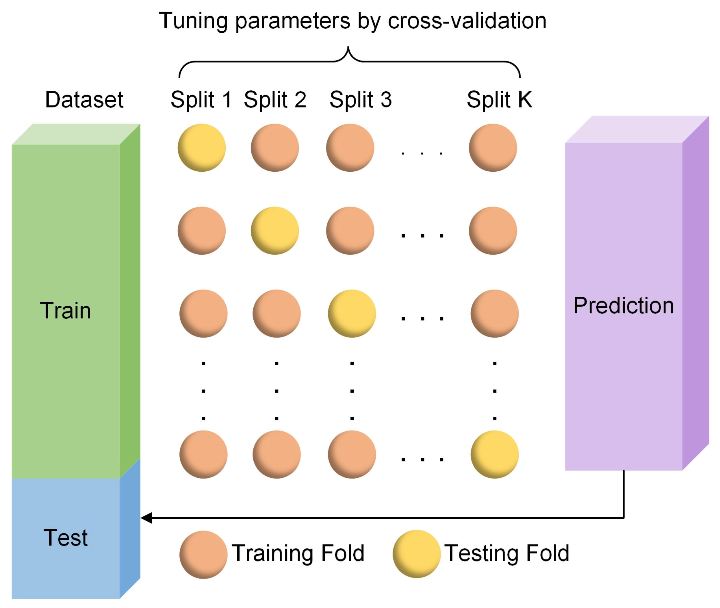 Algorithms 18 00441 g010