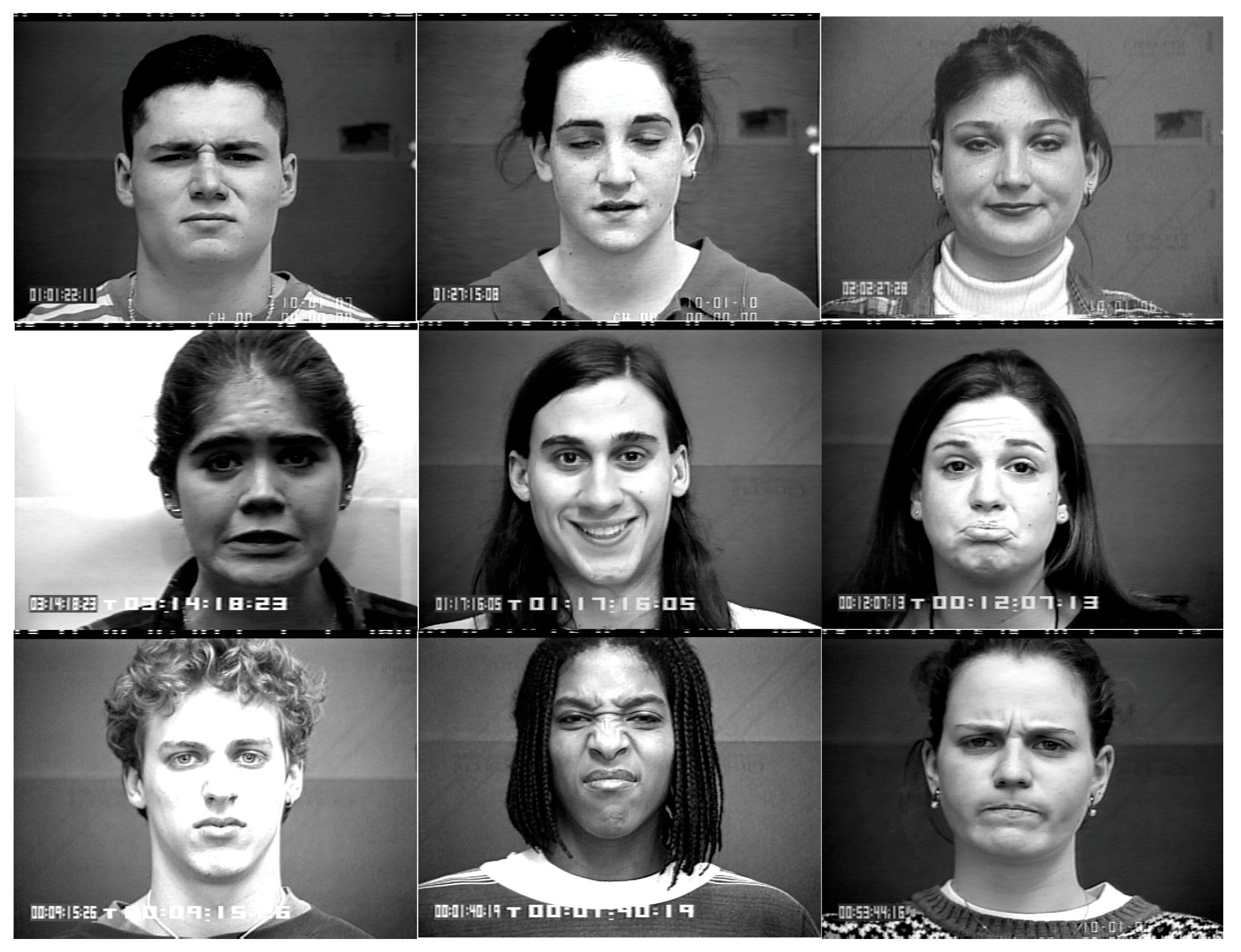 Algorithms 18 00473 g009