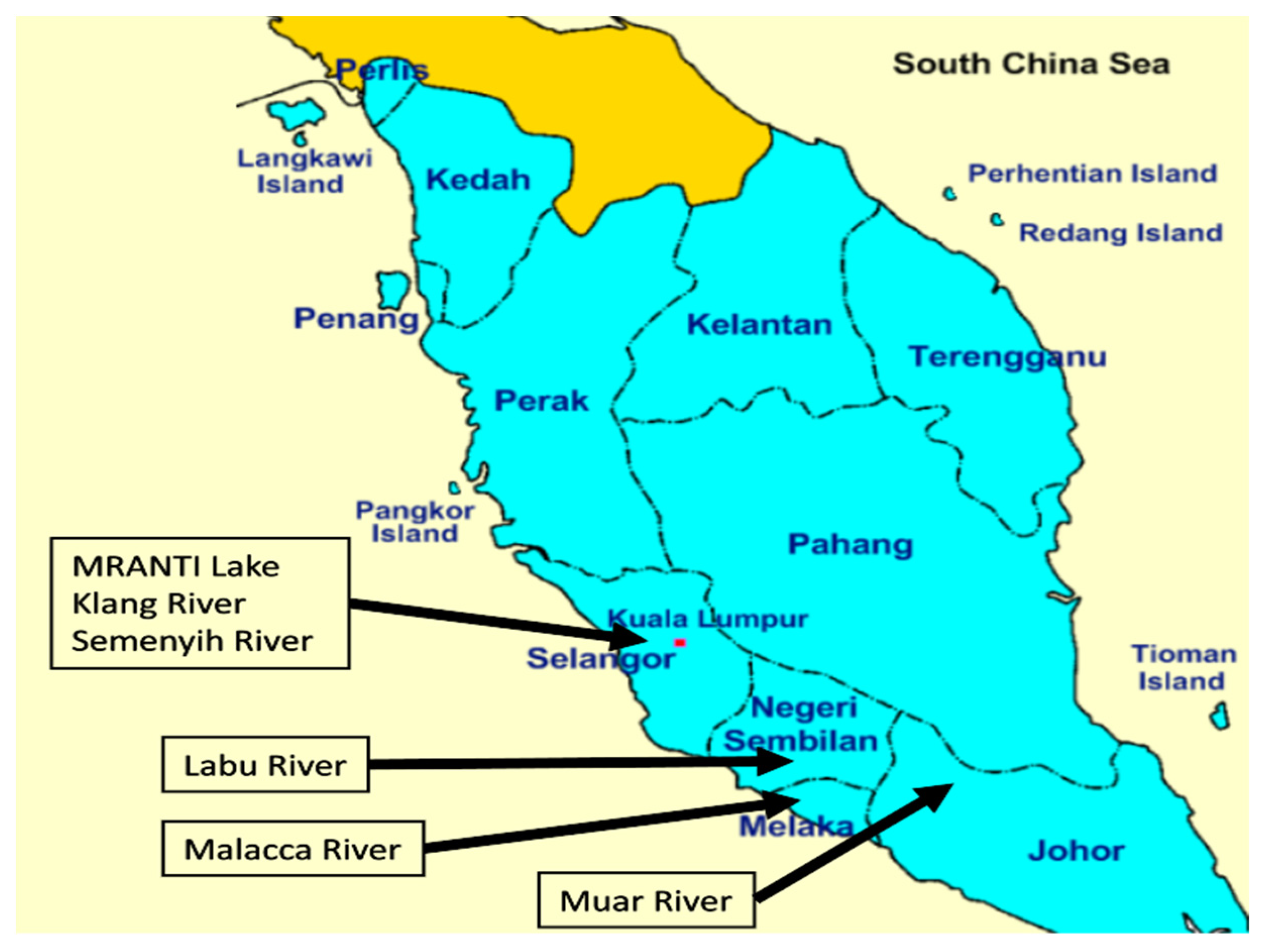 Algorithms 18 00494 g001 Algorithms 18 00494 g001