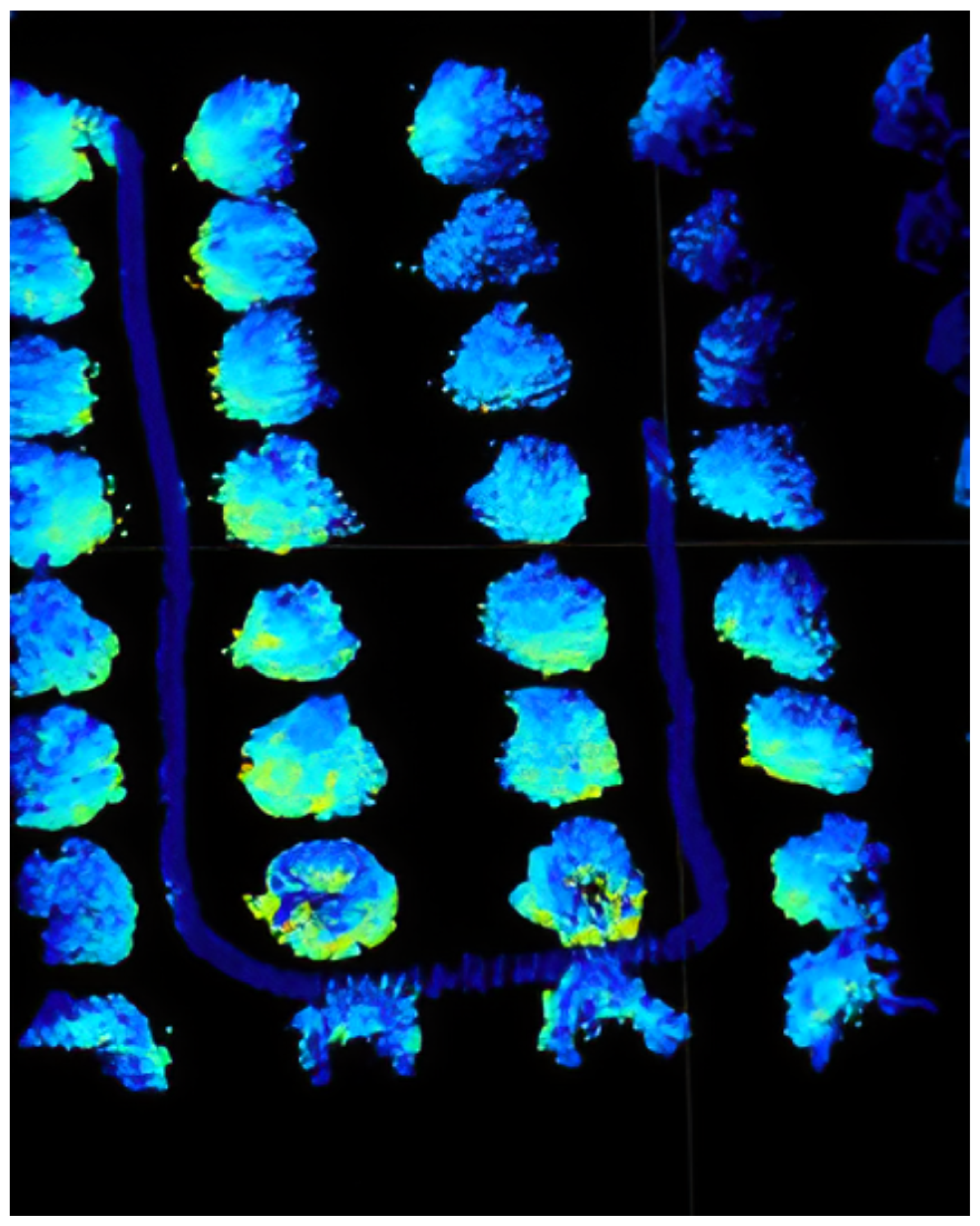 Algorithms 18 00522 g003