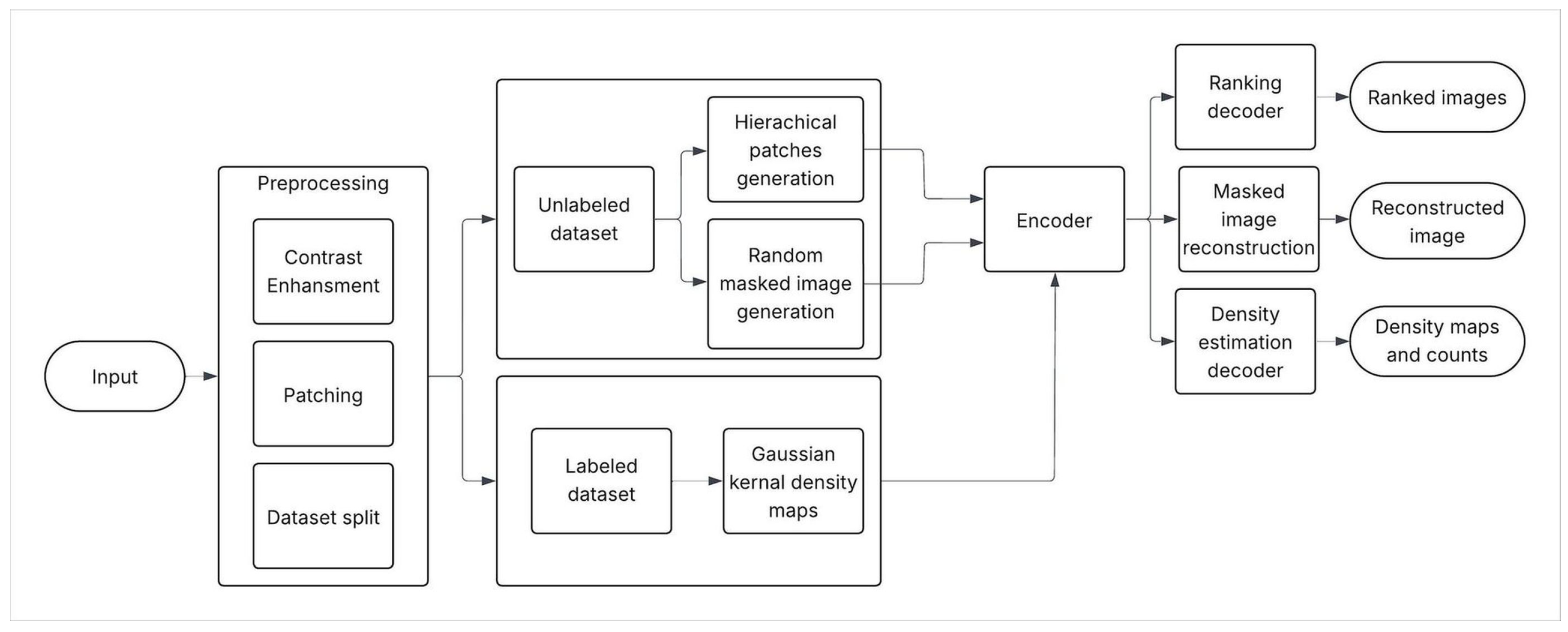 Algorithms 18 00552 g002 Algorithms 18 00552 g002