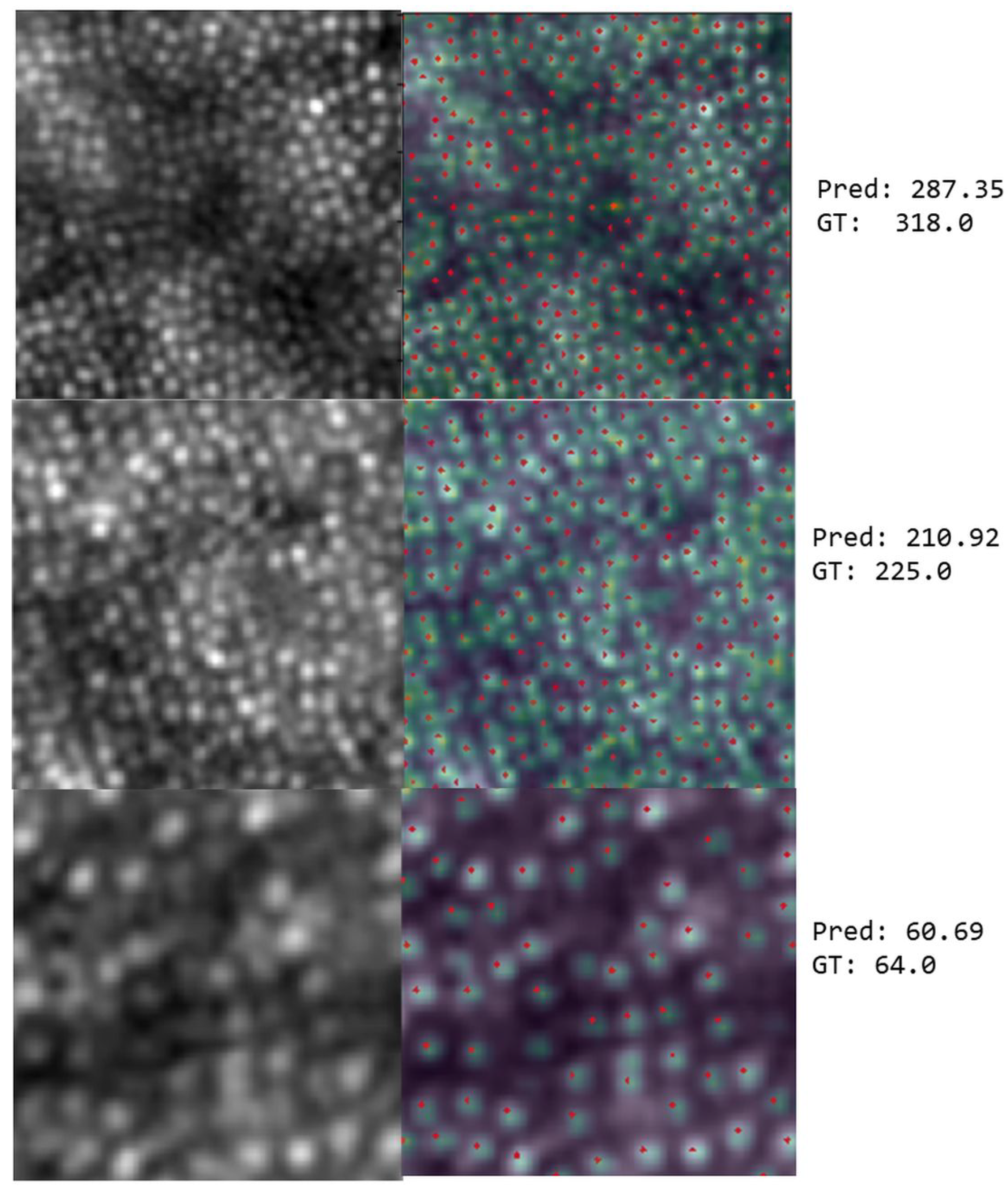 Algorithms 18 00552 g005 Algorithms 18 00552 g005