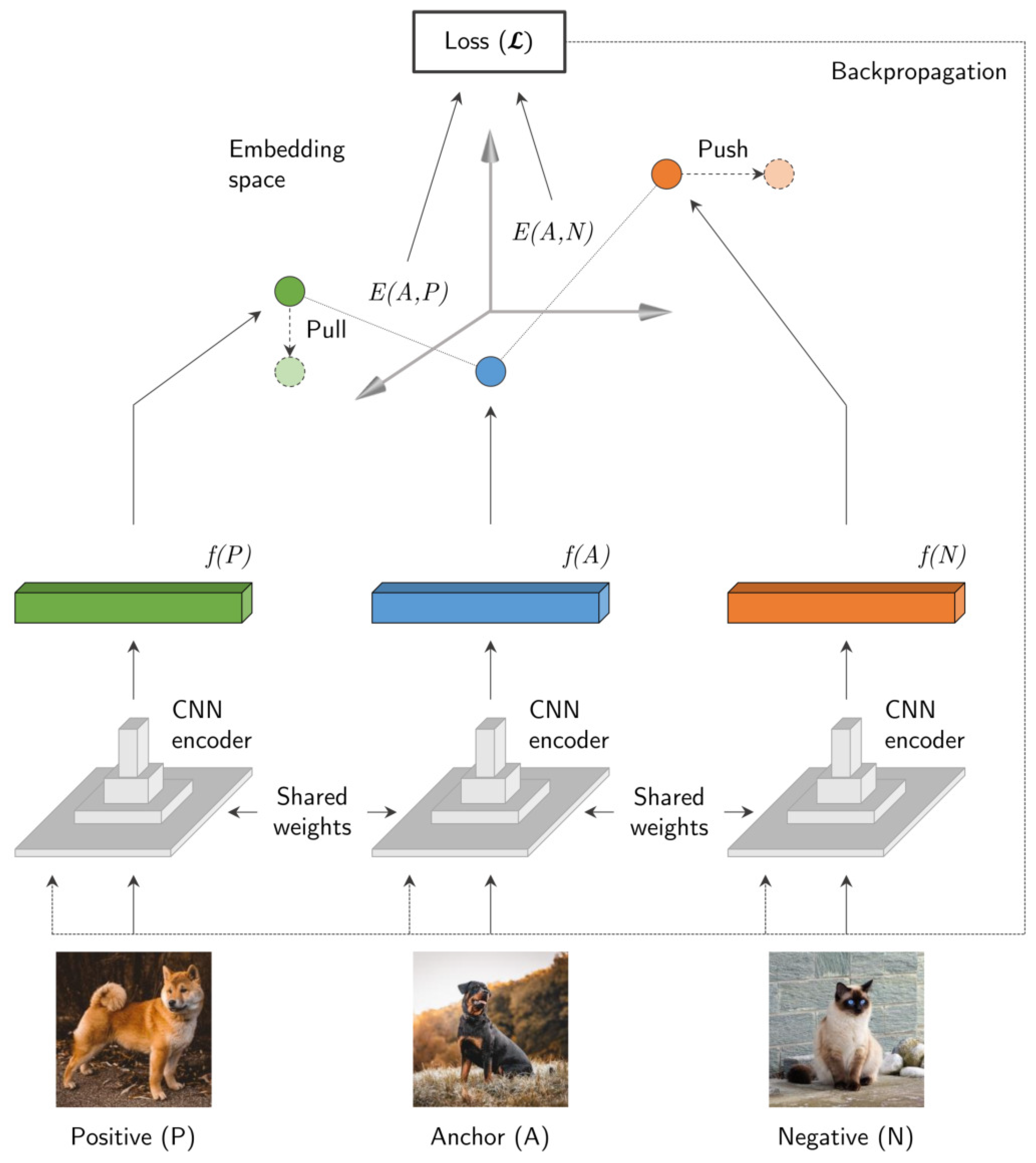 Algorithms 18 00567 g001