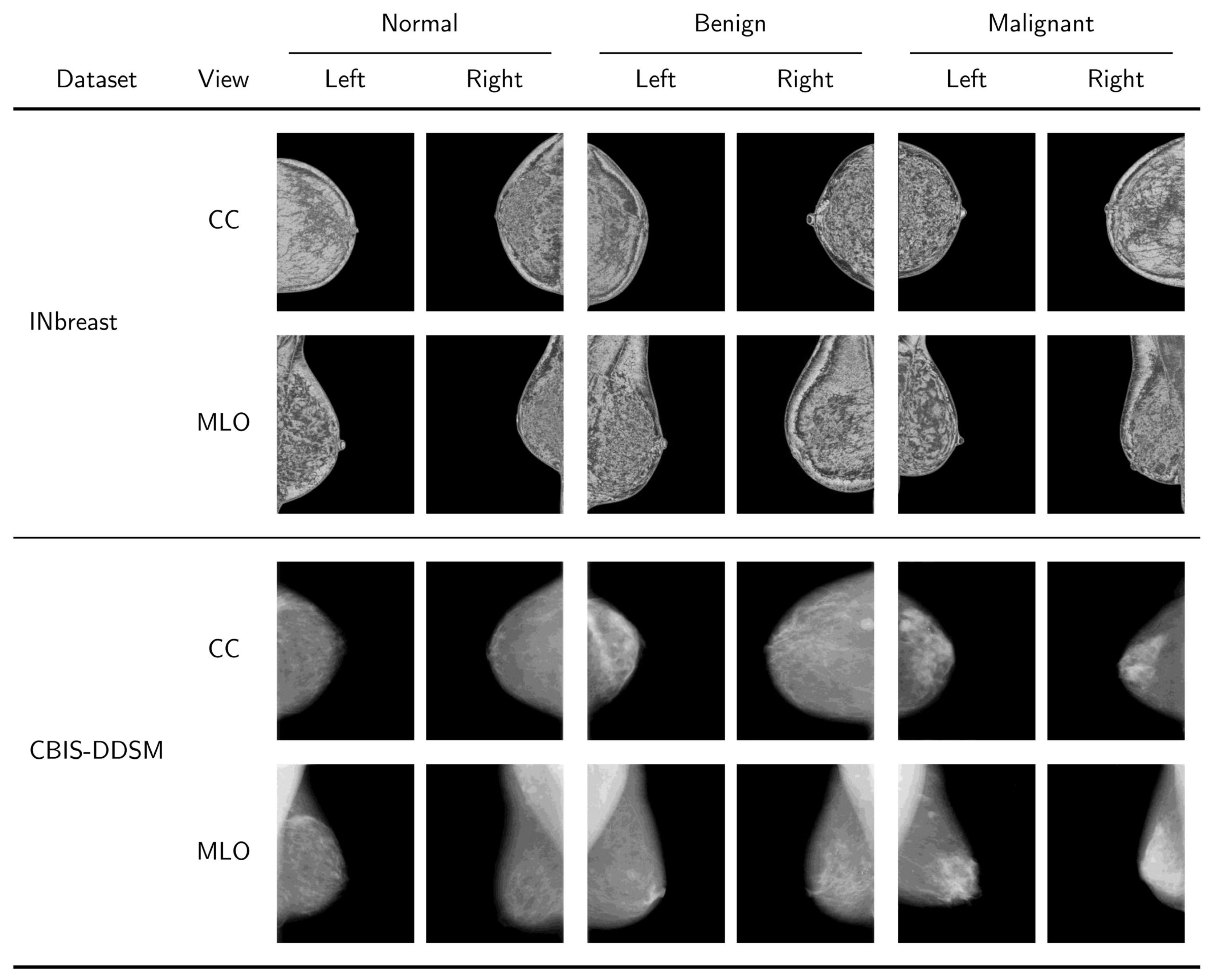 Algorithms 18 00567 g002