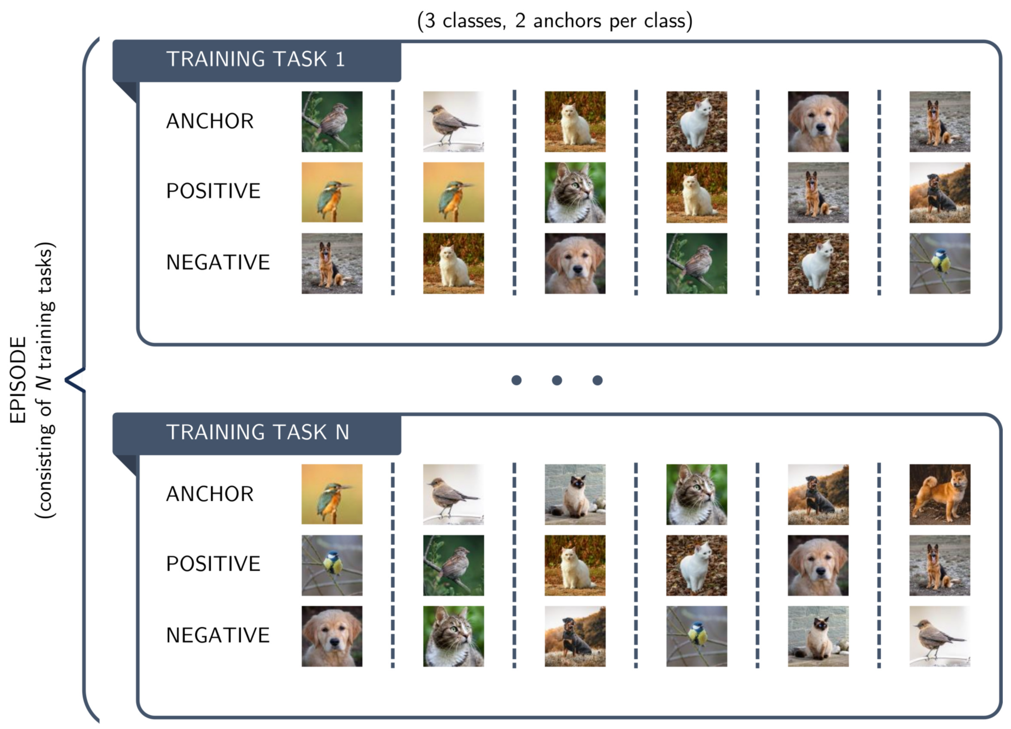 Algorithms 18 00567 g003