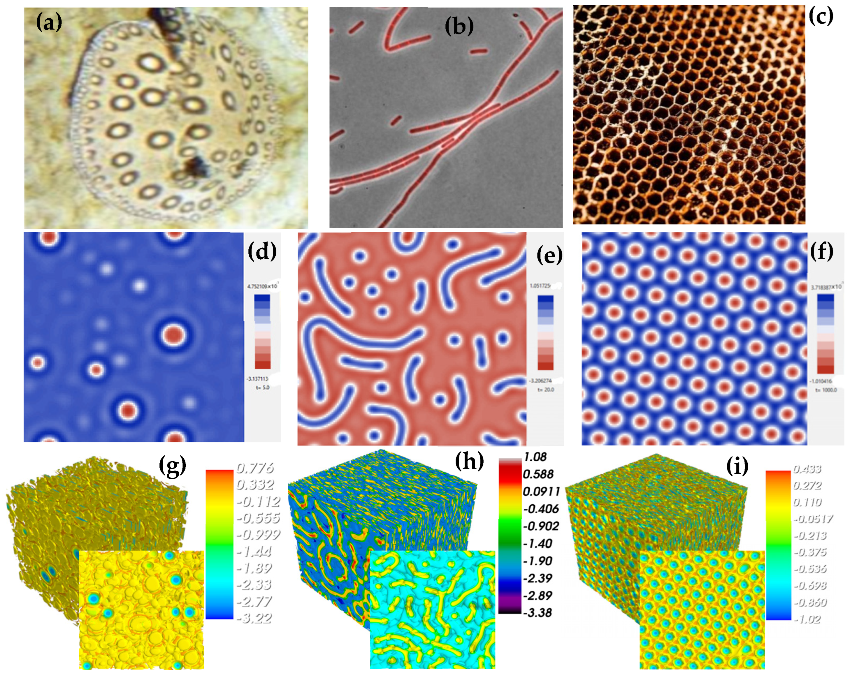 Algorithms 18 00585 g004 Algorithms 18 00585 g004