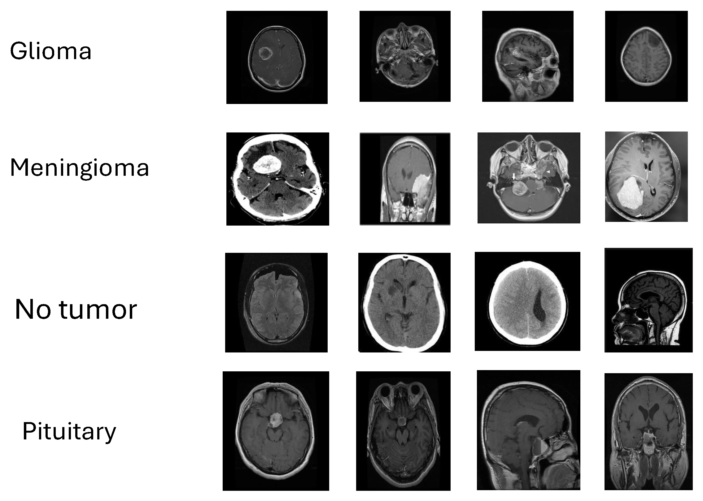 Algorithms 18 00624 g001
