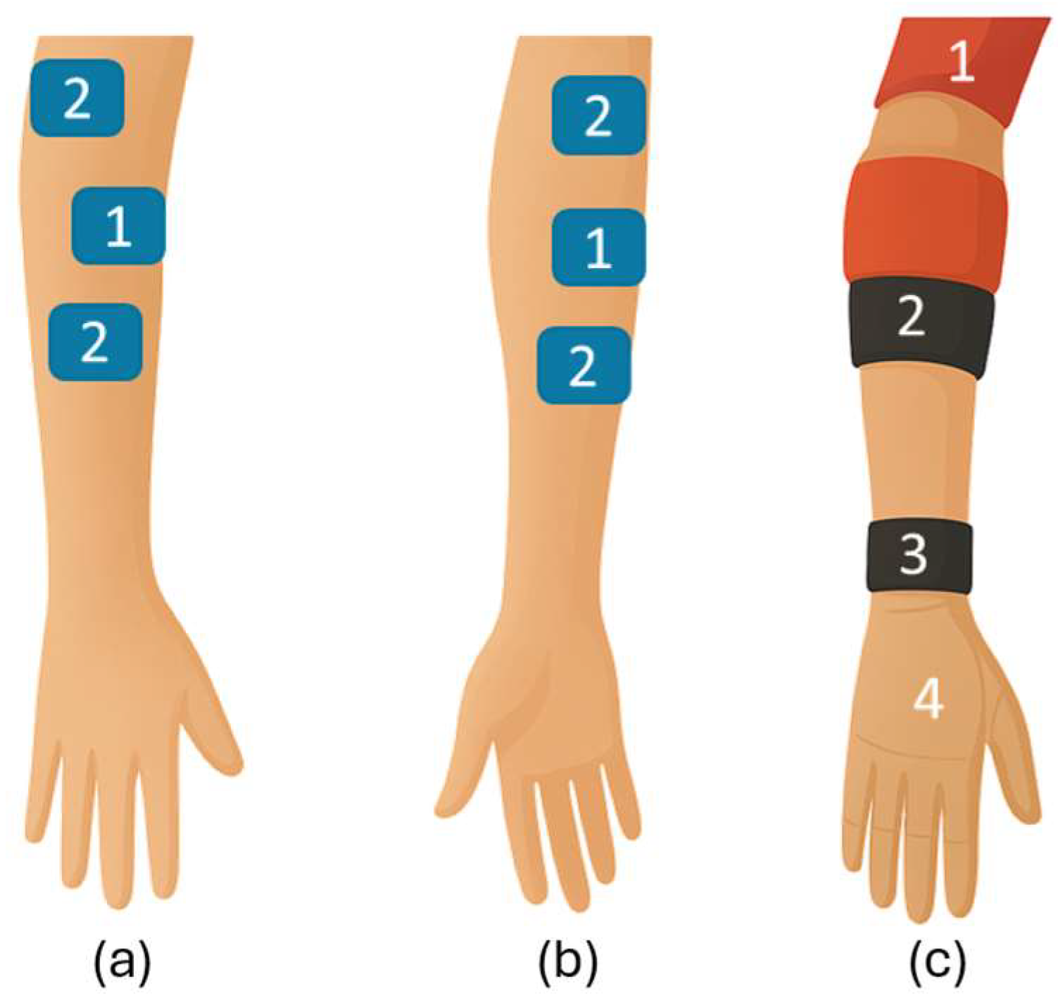 Algorithms 18 00633 g002