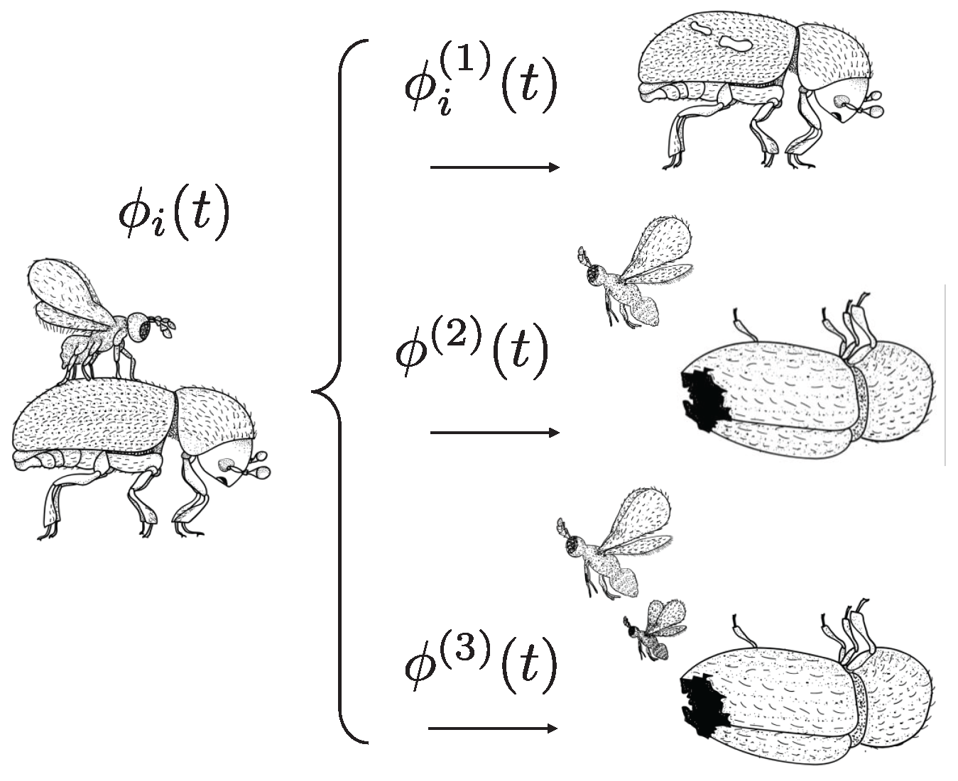 Algorithms 18 00637 g002