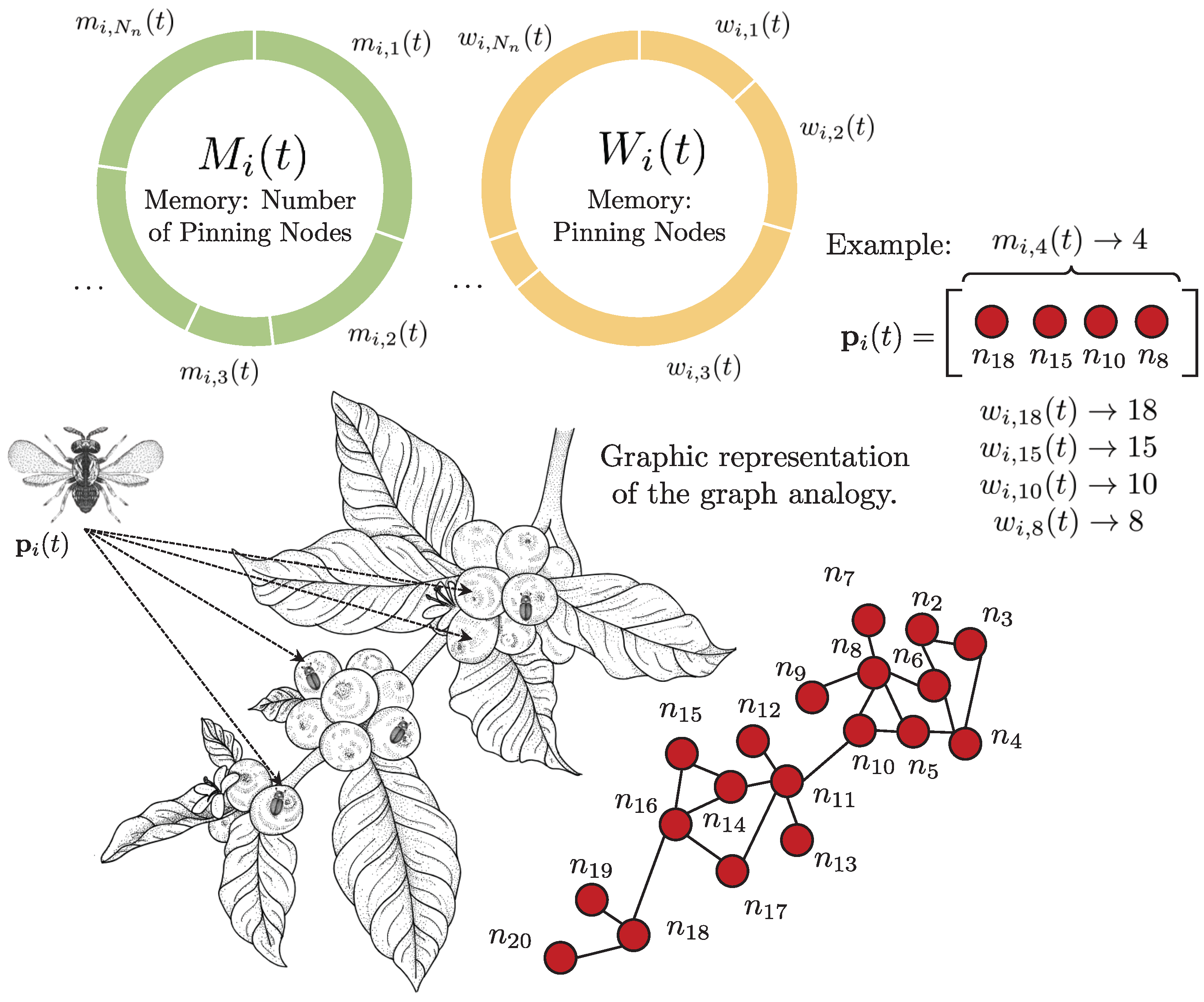 Algorithms 18 00637 g003