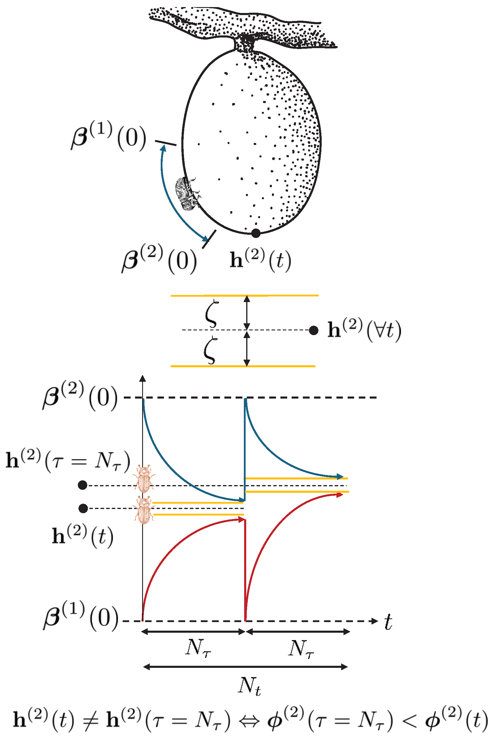 Algorithms 18 00637 g004