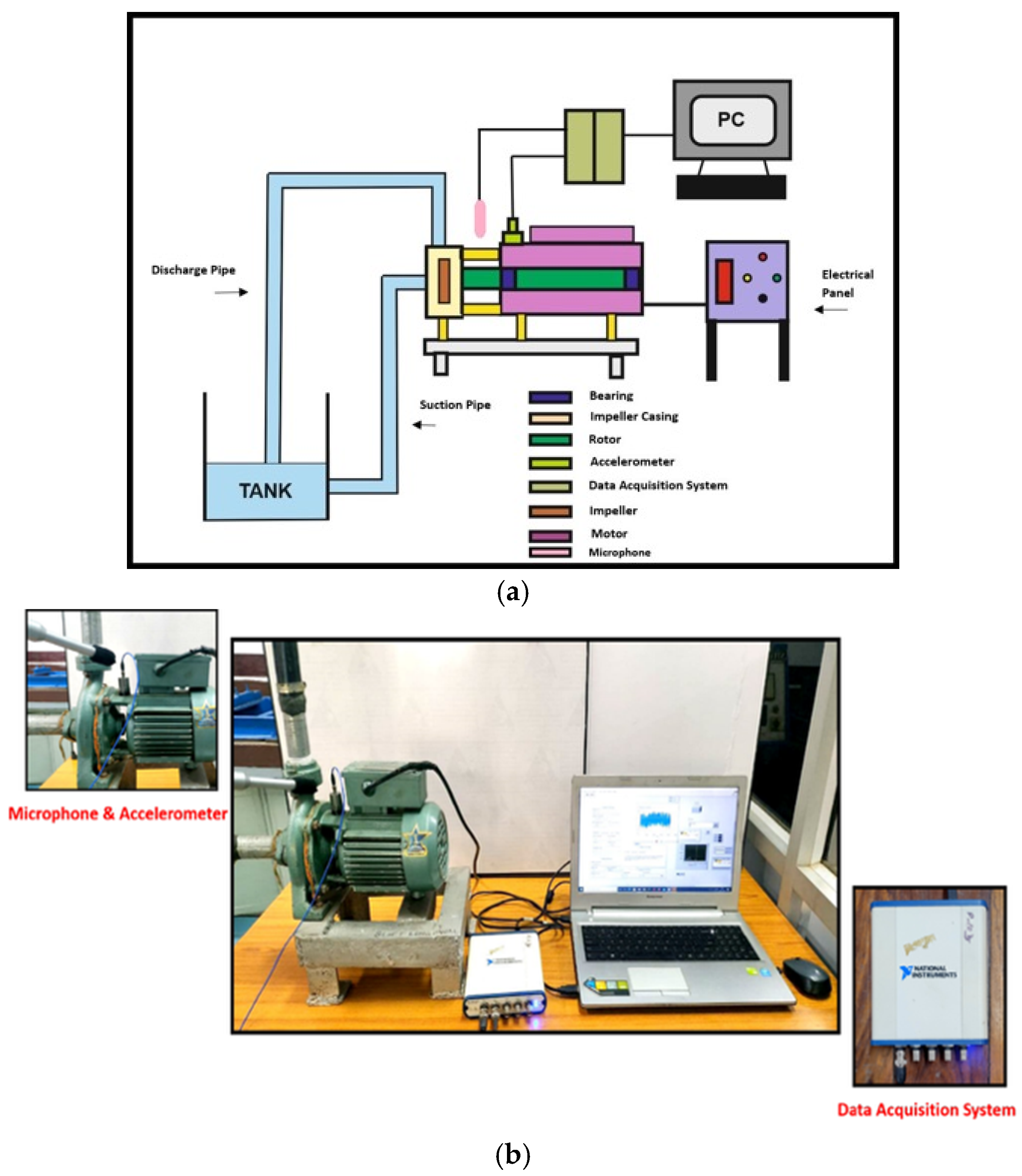 Algorithms 18 00644 g003