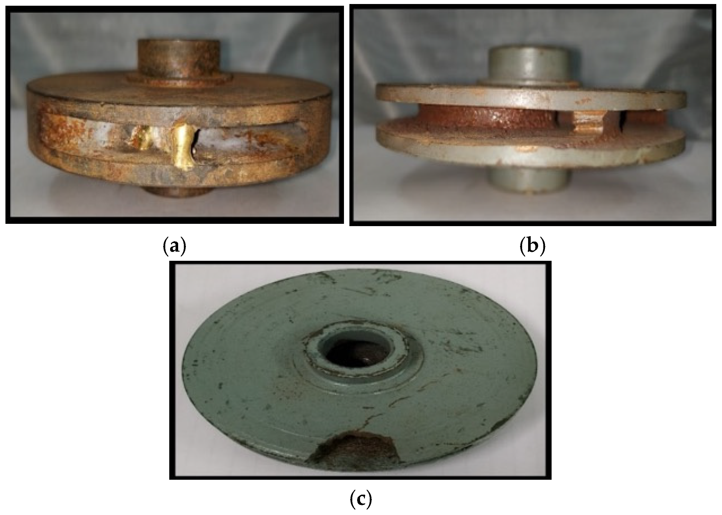 Algorithms 18 00644 g004