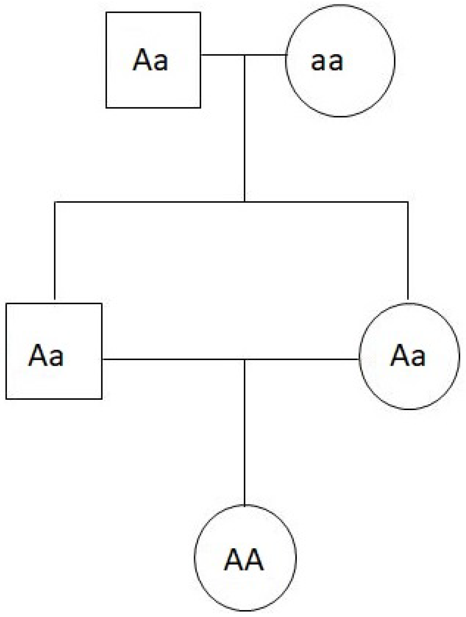 Algorithms 18 00661 g005