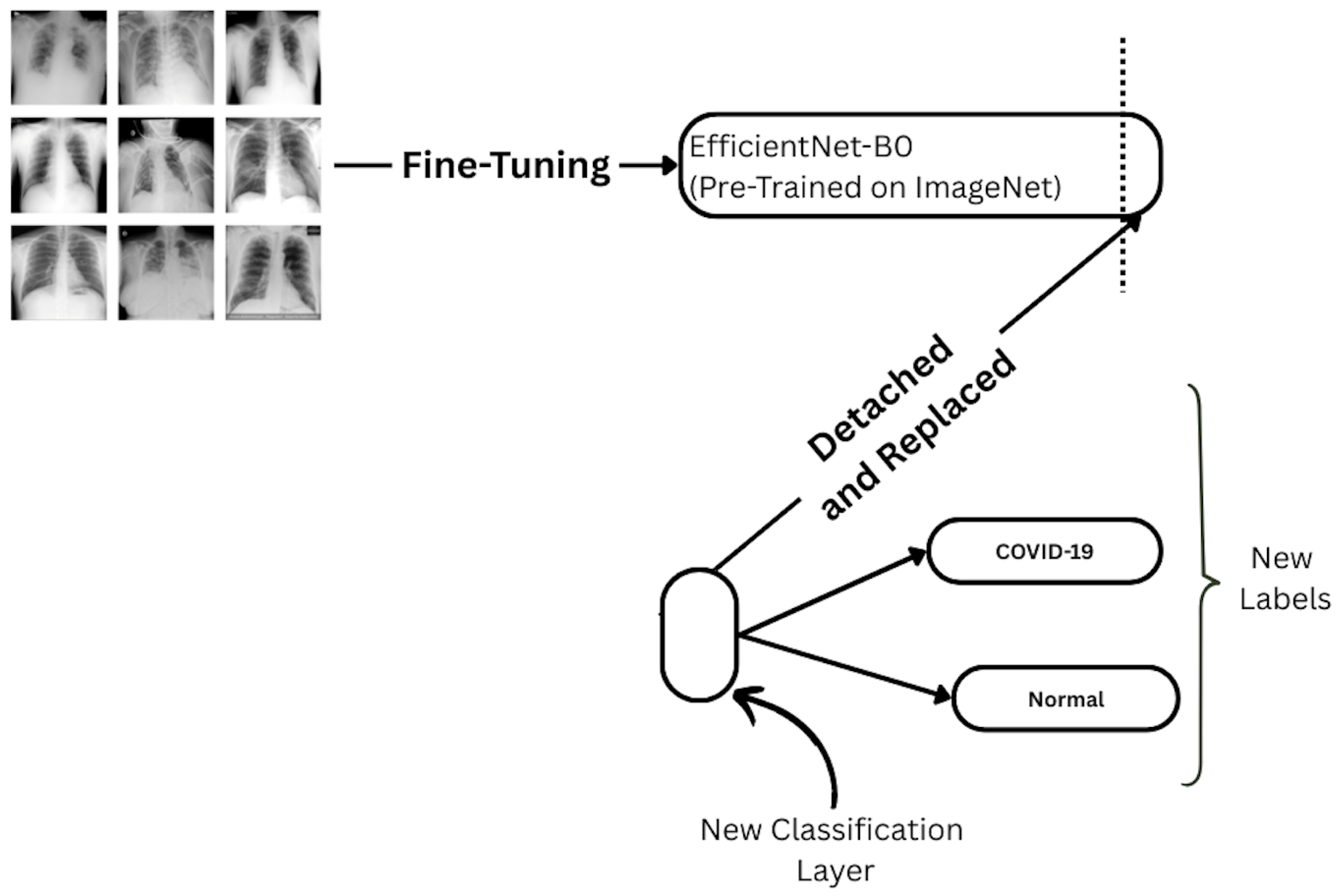 Algorithms 18 00730 g005