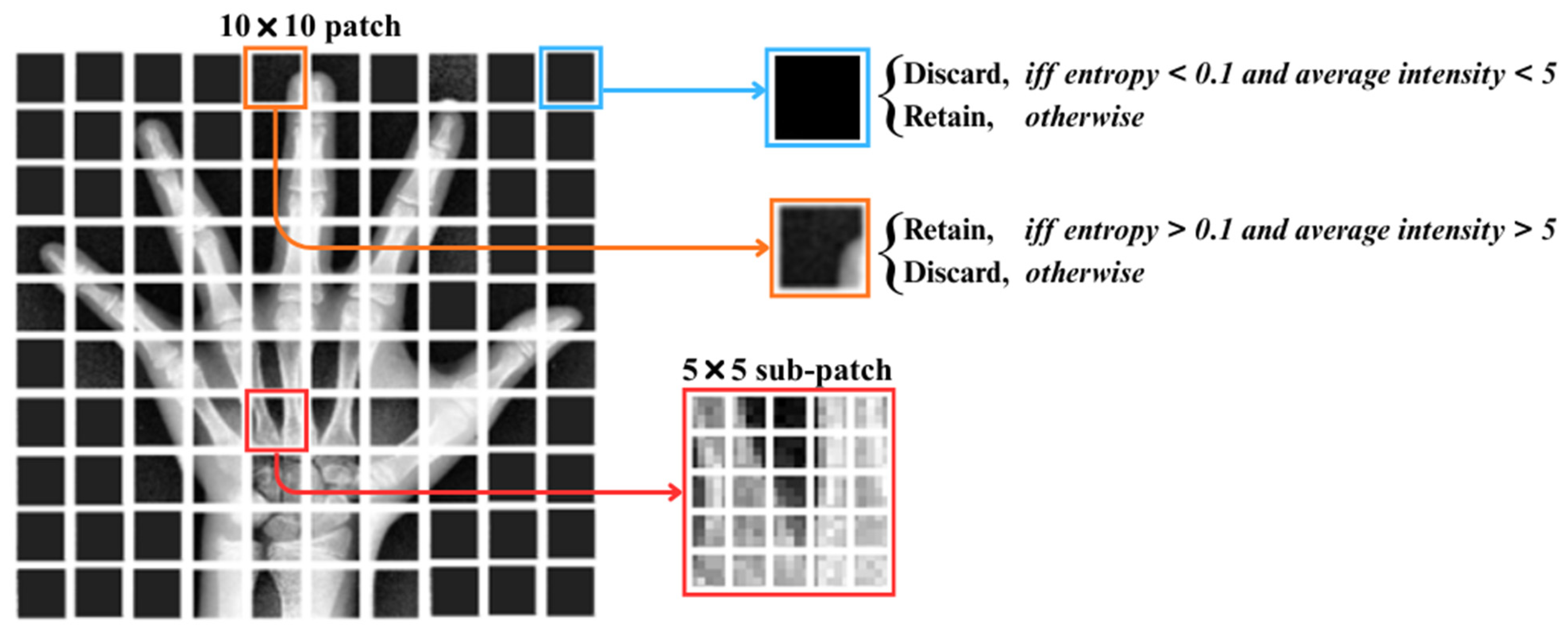 Algorithms 18 00765 g004