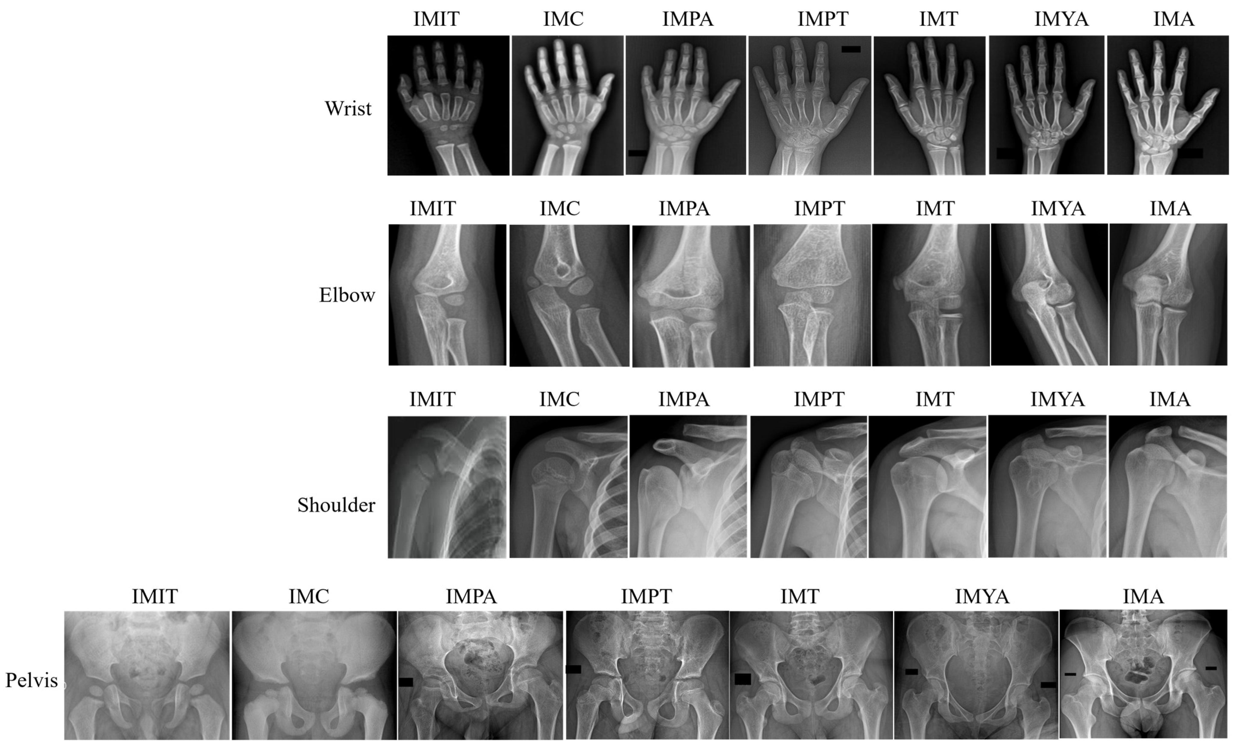 Algorithms 18 00765 g006