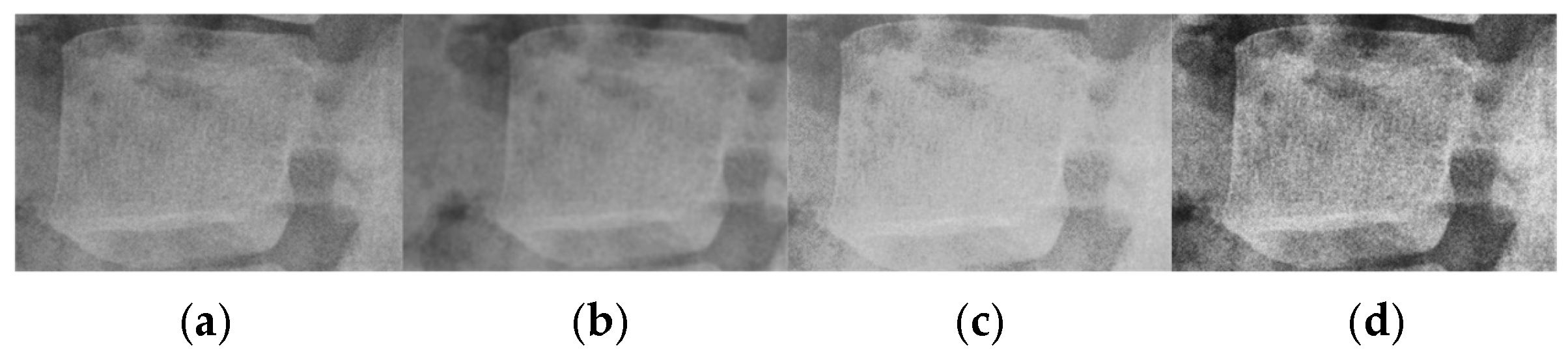 Algorithms 18 00796 g003