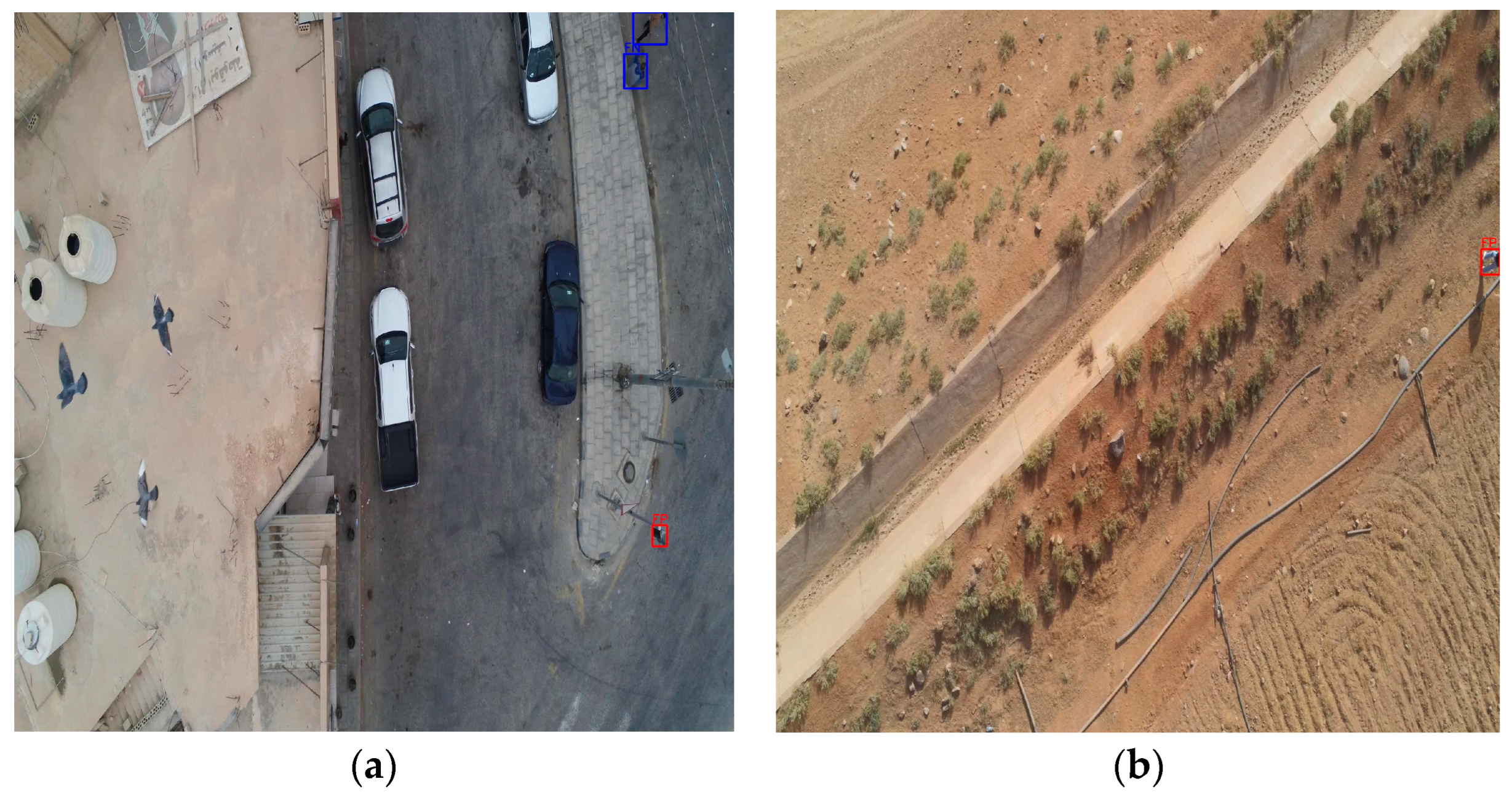 Algorithms 19 00031 g008