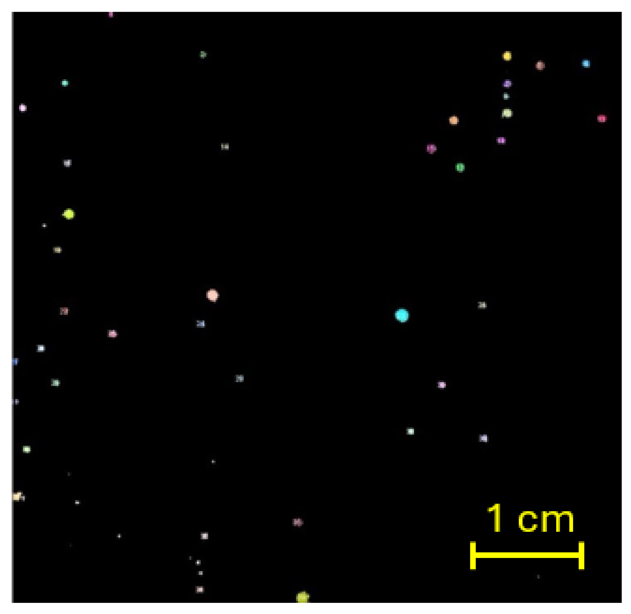 Algorithms 19 00077 g019