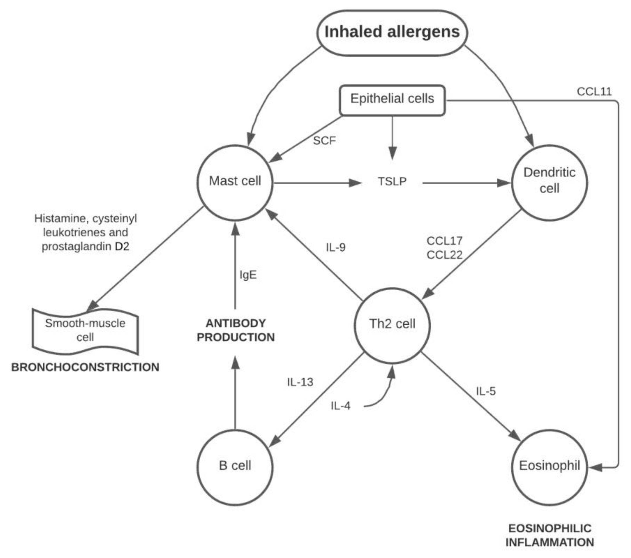 Allergies 01 00005 g001