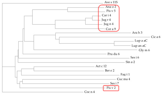 Allergies Free Full Text Ige Binding Epitopes Of Pis V 1 Pis V 2 And Pis V 3 The Pistachio Pistacia Vera Seed Allergens Html