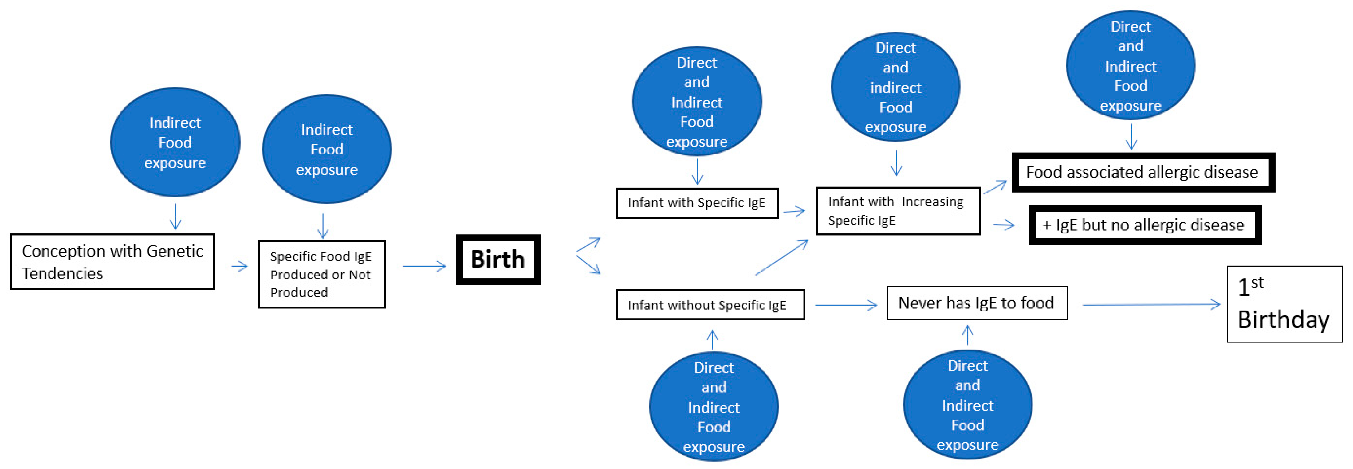 Allergies 01 00009 g001