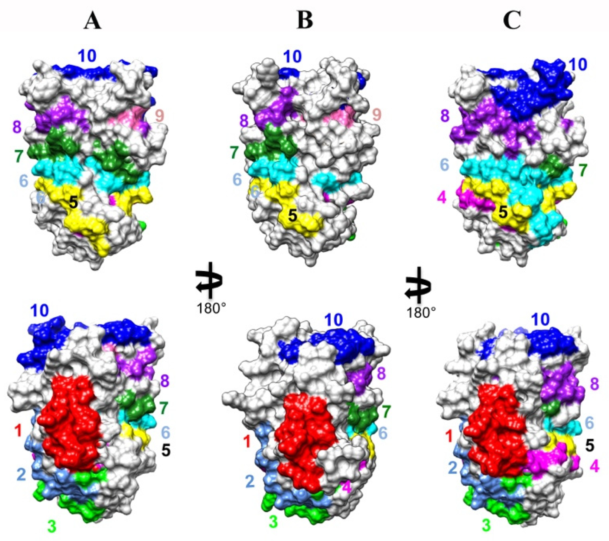 Allergies 02 00010 g005