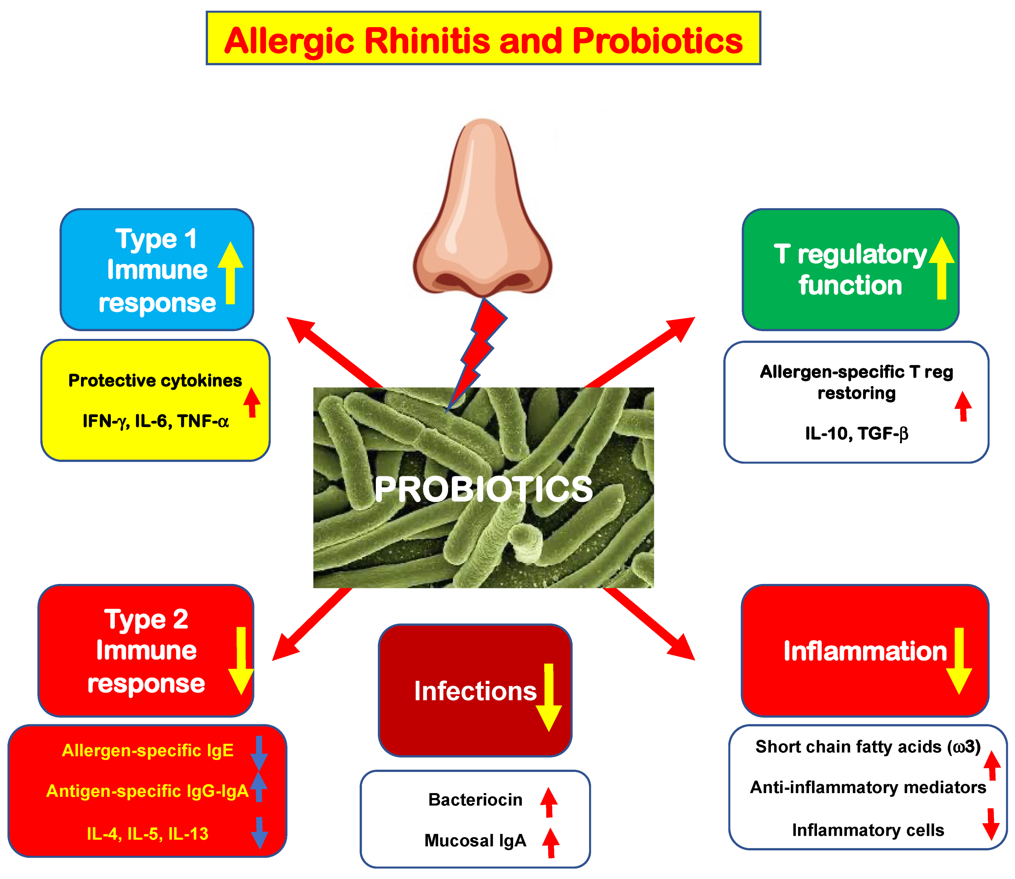 Allergies 02 00011 g001 550