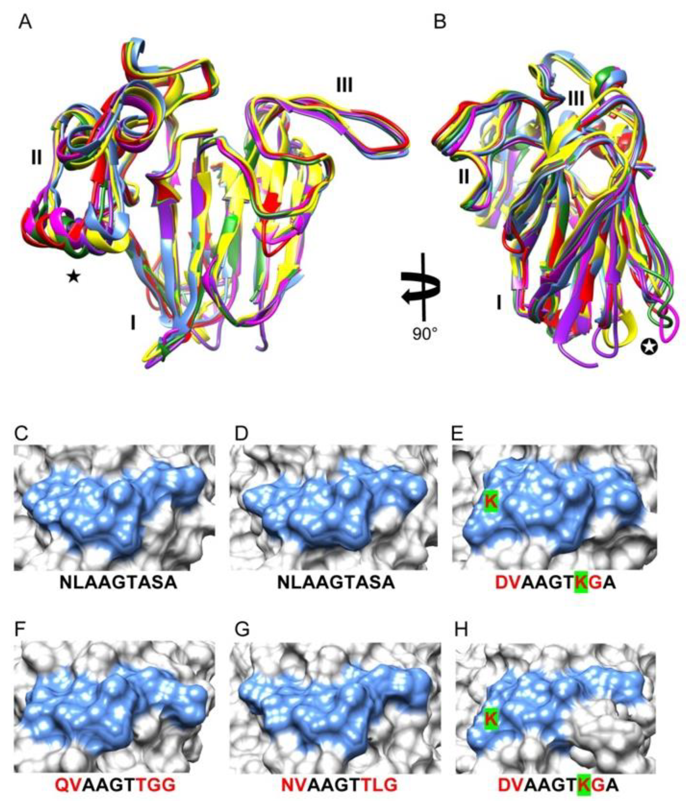 Allergies 03 00002 g004