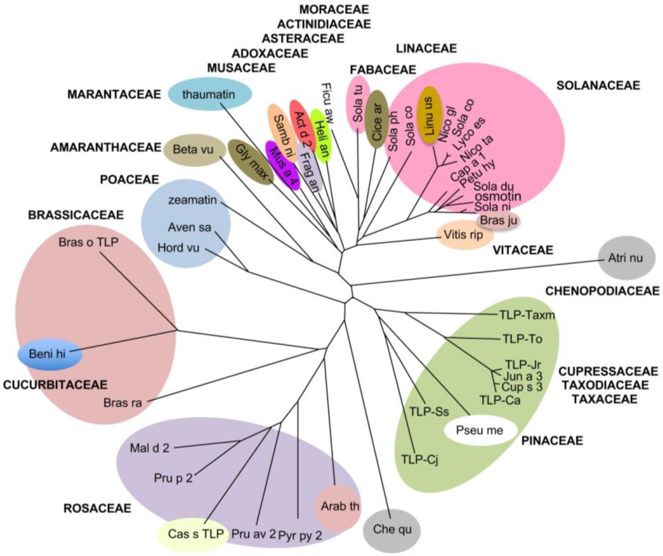 Allergies 03 00002 g005