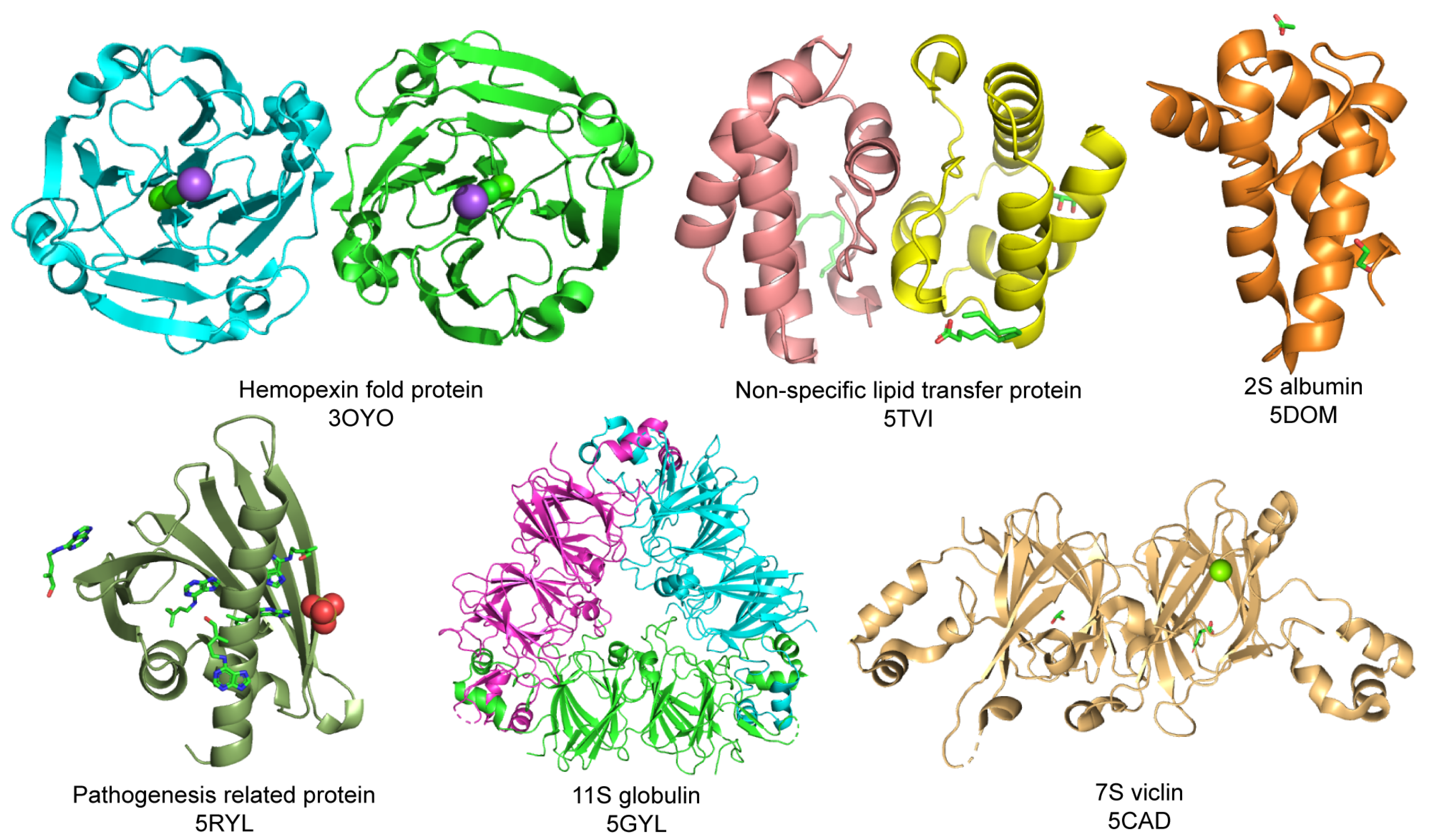 Allergies 03 00003 g001