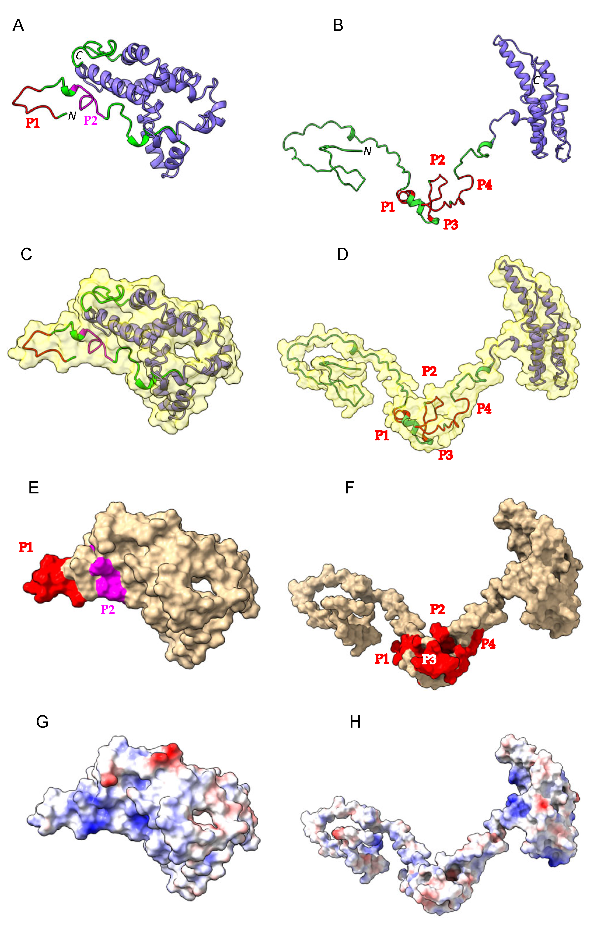 Allergies 03 00004 g003 Allergies 03 00004 g003