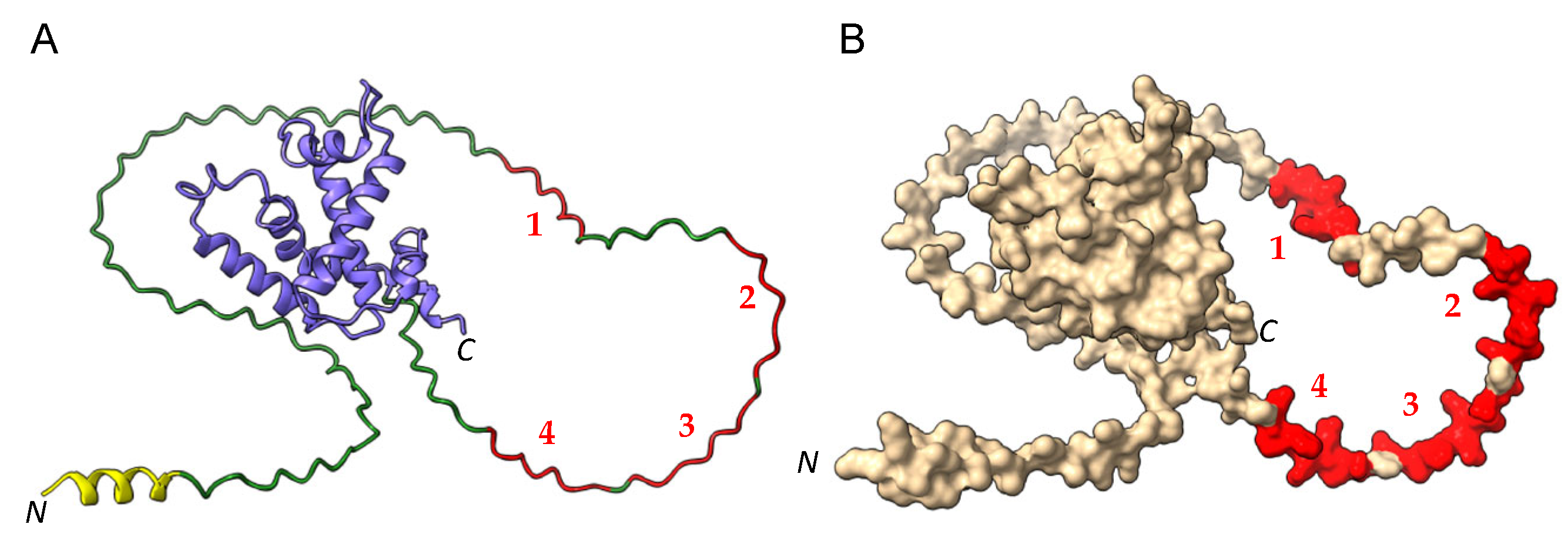 Allergies 03 00004 g004 Allergies 03 00004 g004