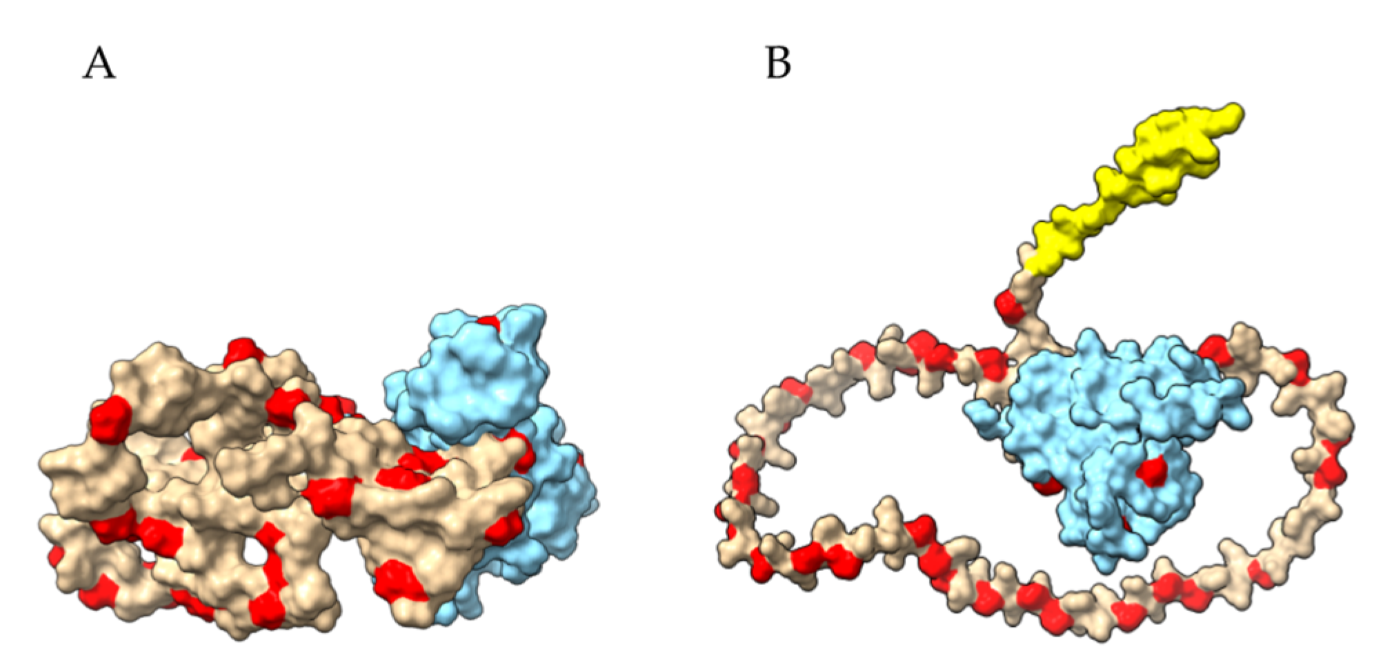 Allergies 03 00004 g011 Allergies 03 00004 g011