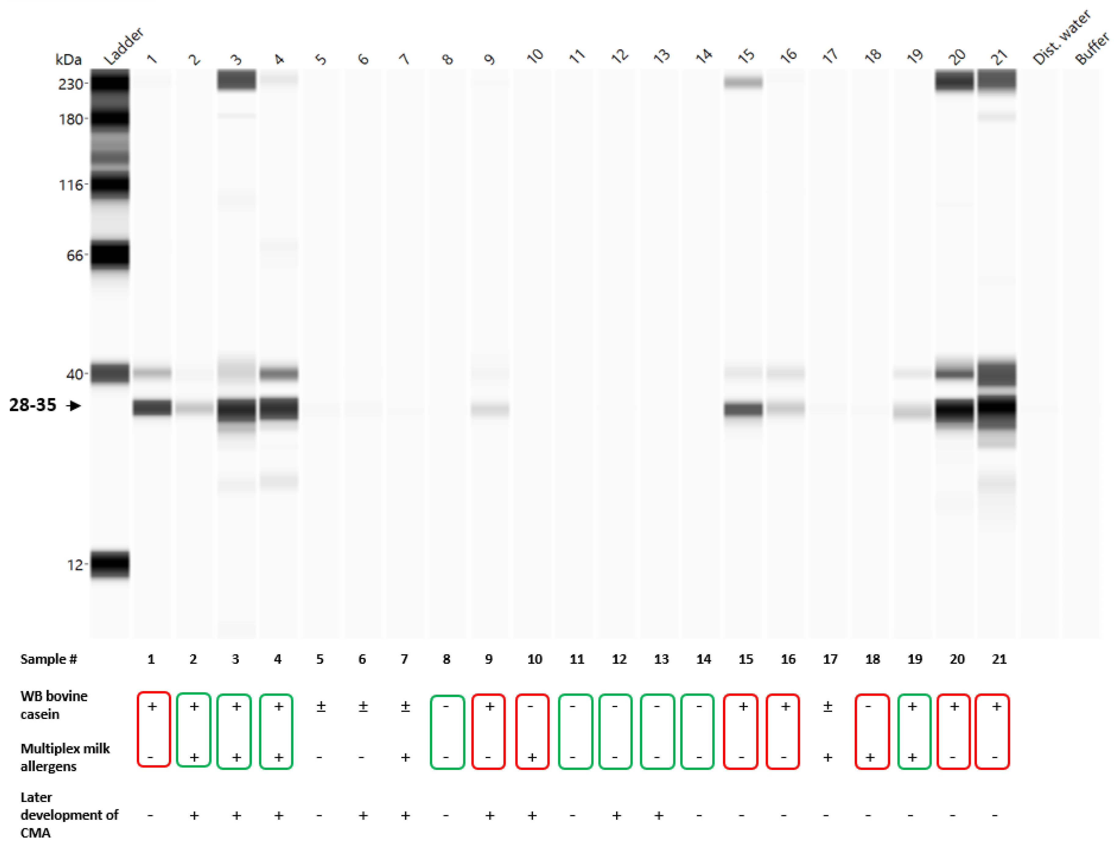 Allergies 03 00005 g005