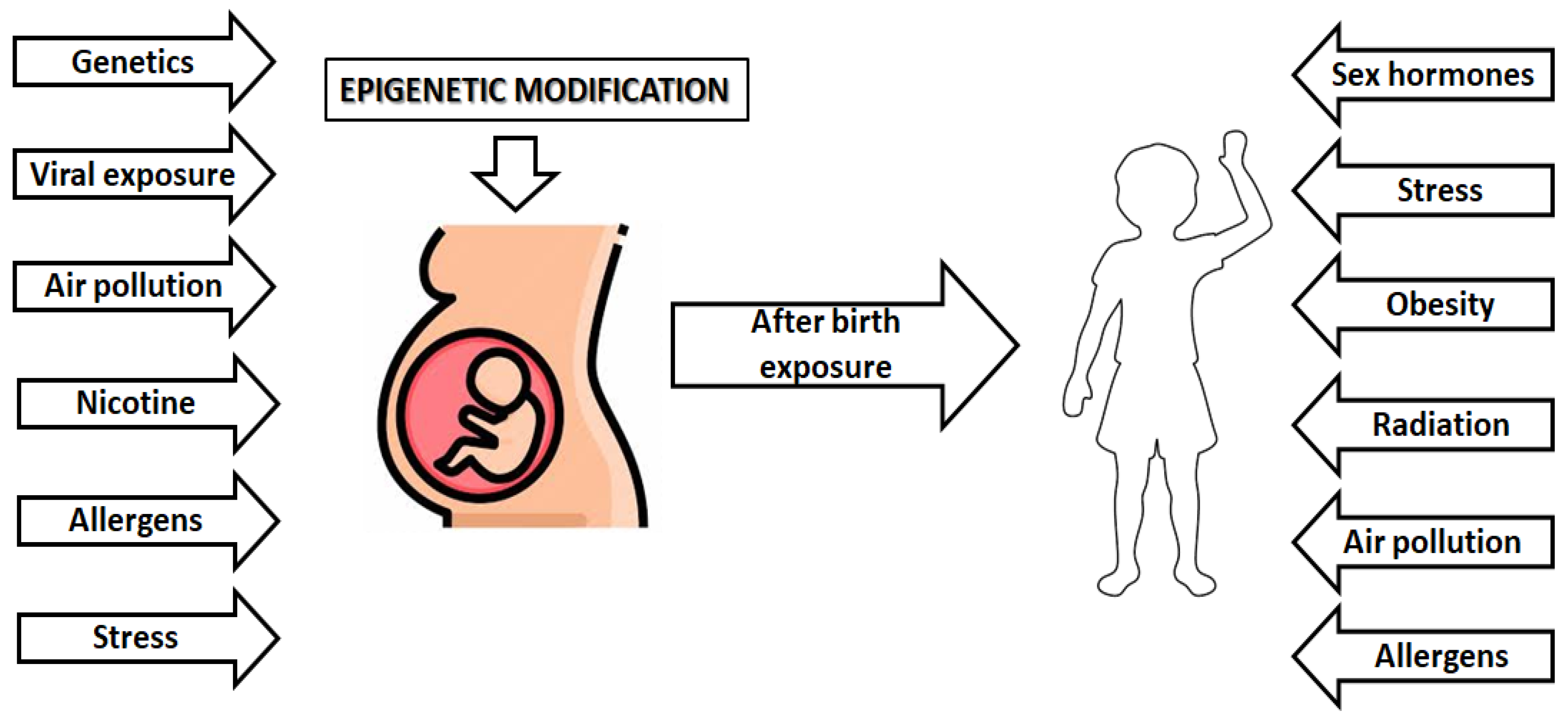 Allergies 03 00009 g001 Allergies 03 00009 g001