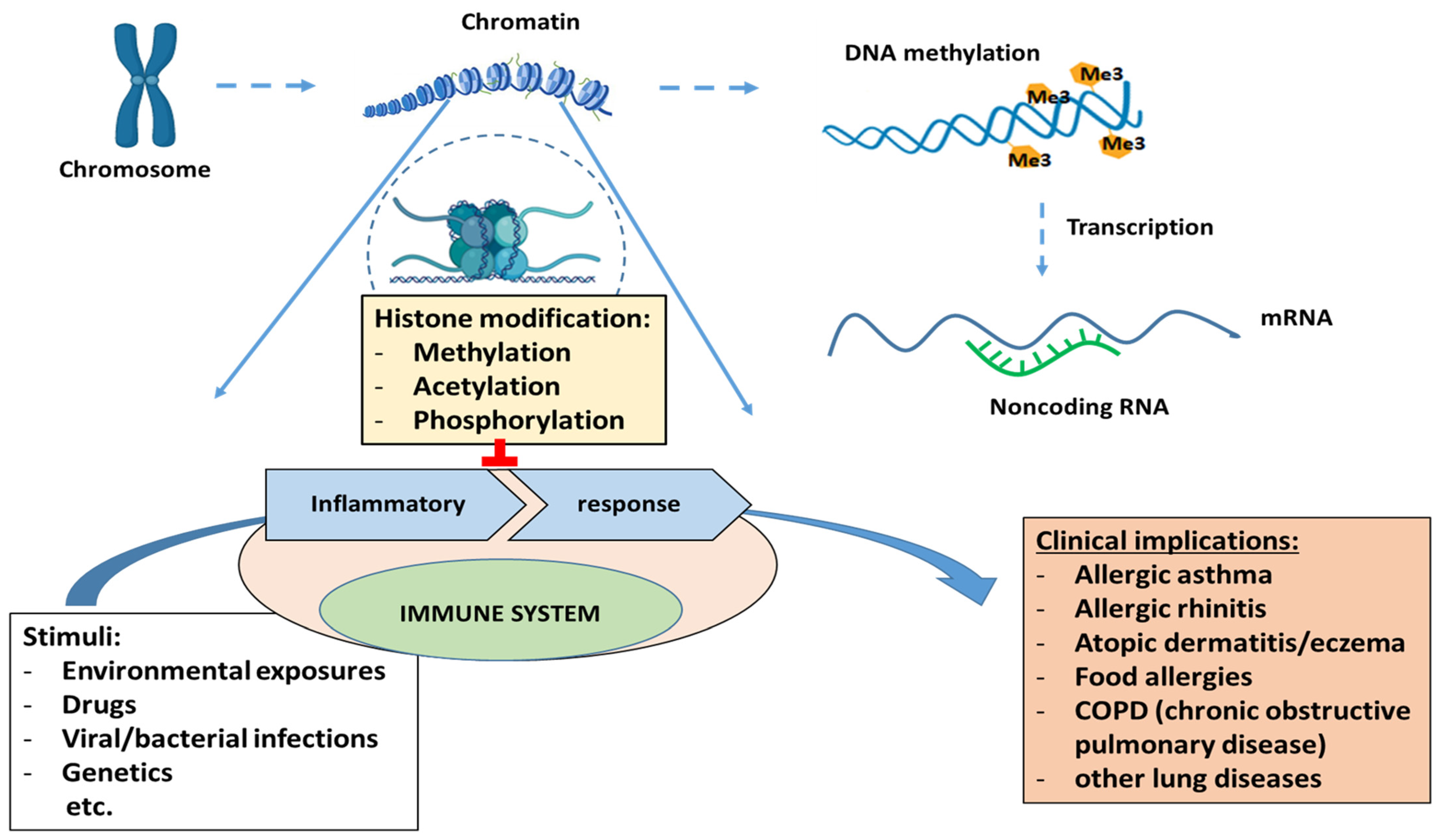 Allergies 03 00009 g002 Allergies 03 00009 g002