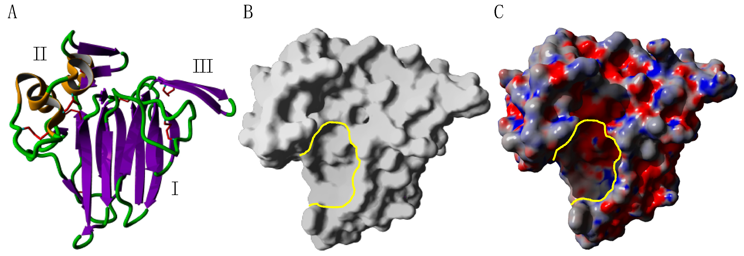 Allergies 03 00010 g003