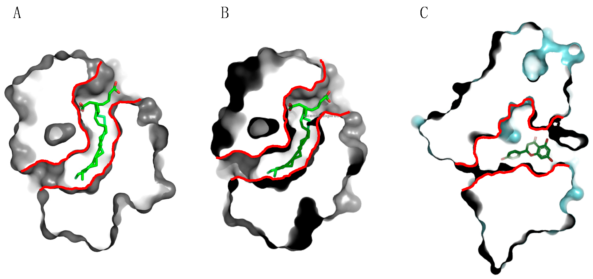 Allergies 03 00010 g015