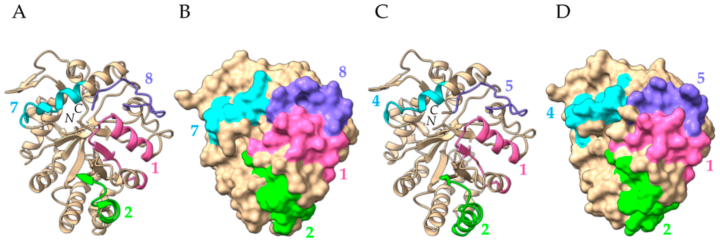 Allergies 03 00010 g034