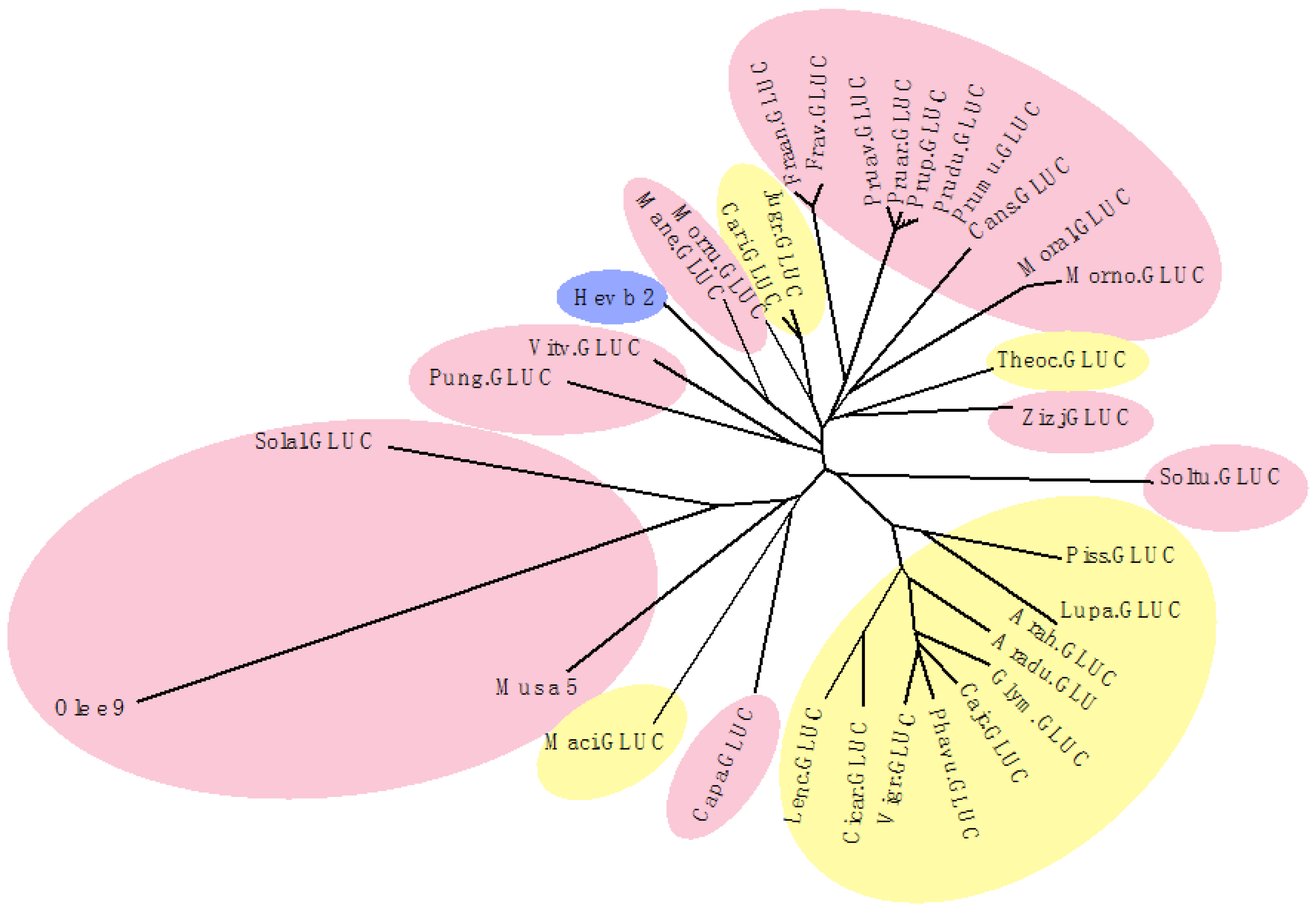 Allergies 03 00010 g036