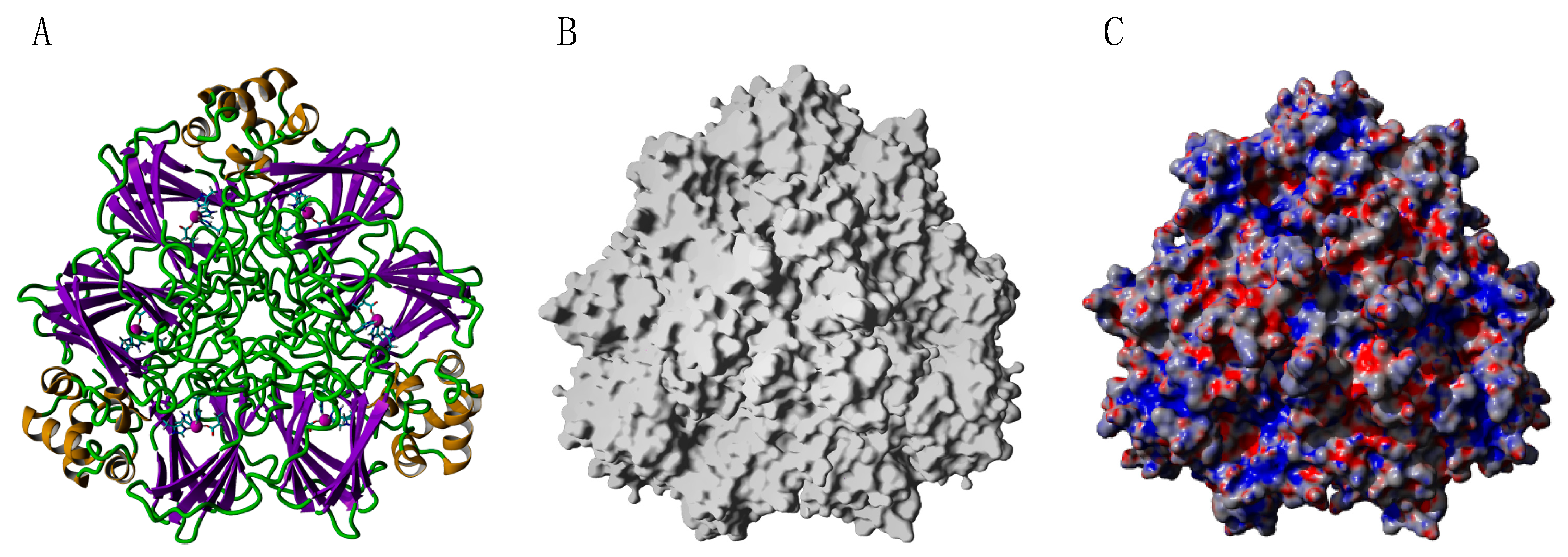 Allergies 03 00010 g041