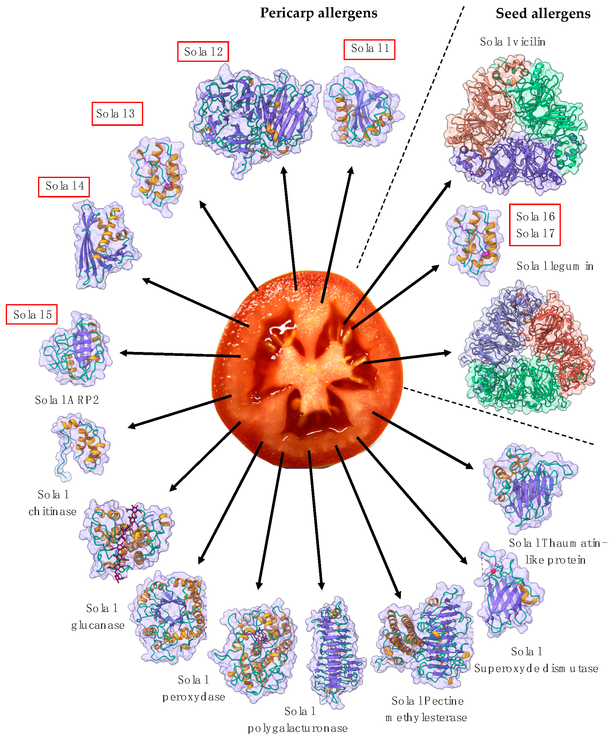 Allergies 03 00010 g045